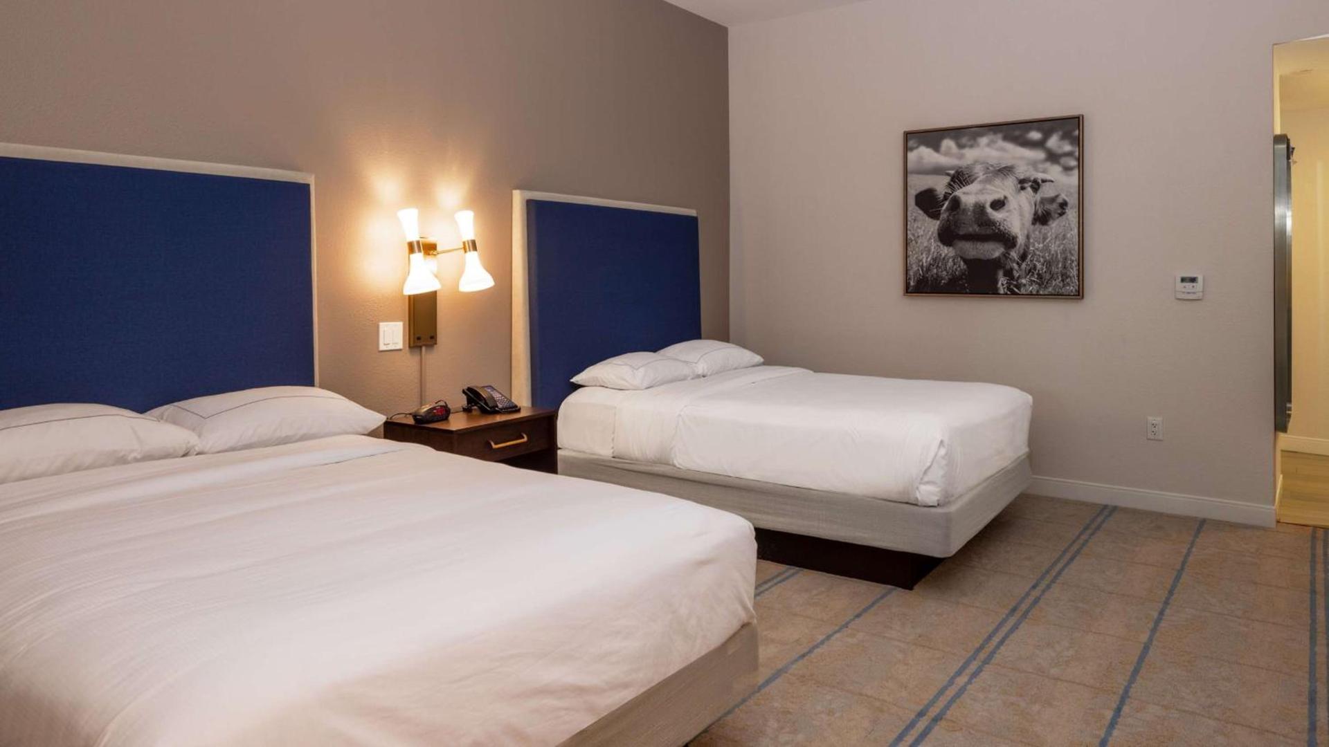 Hilton Austin Airport photo 34