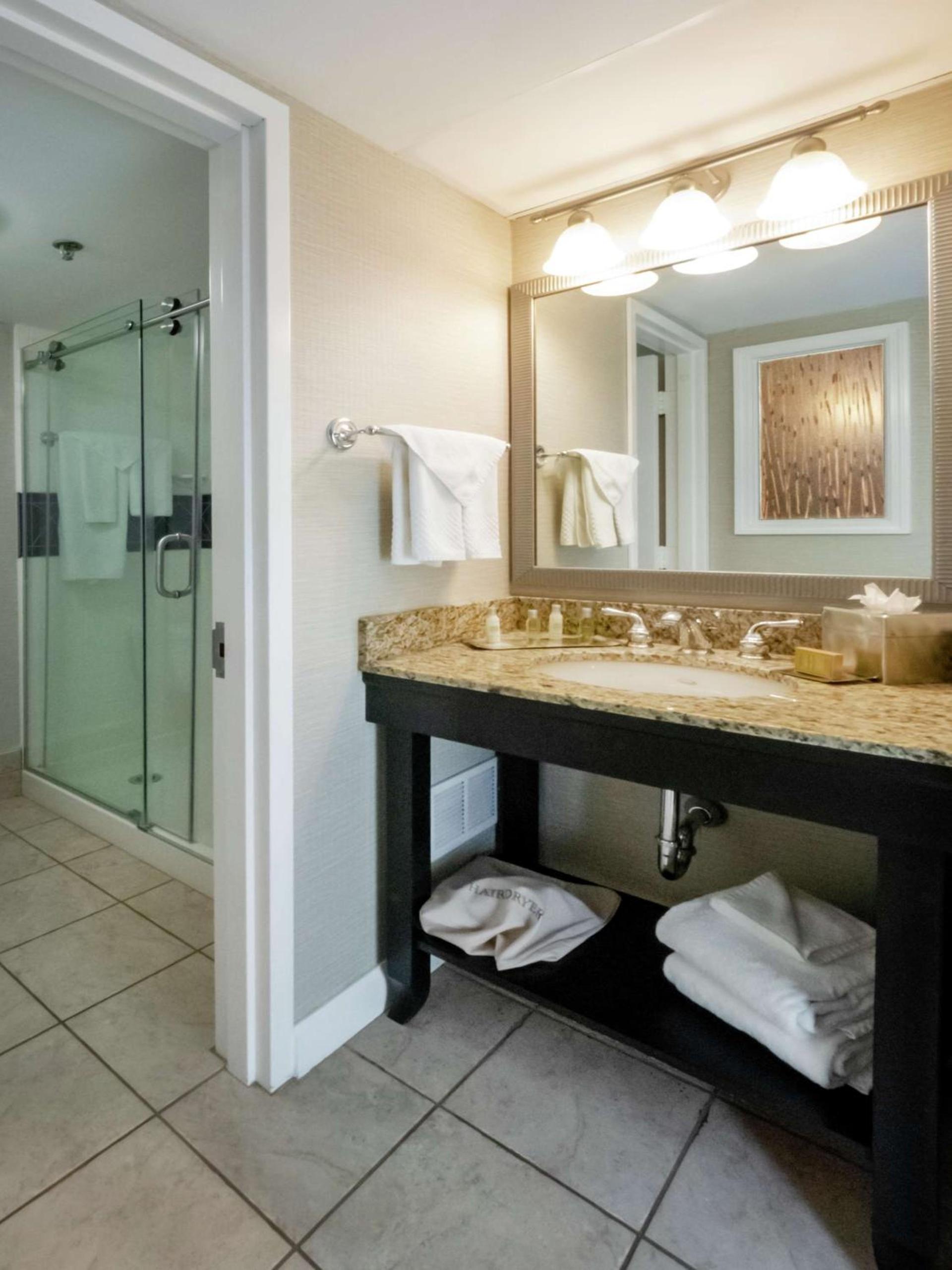 DoubleTree by Hilton Buffalo-Amherst photo 13