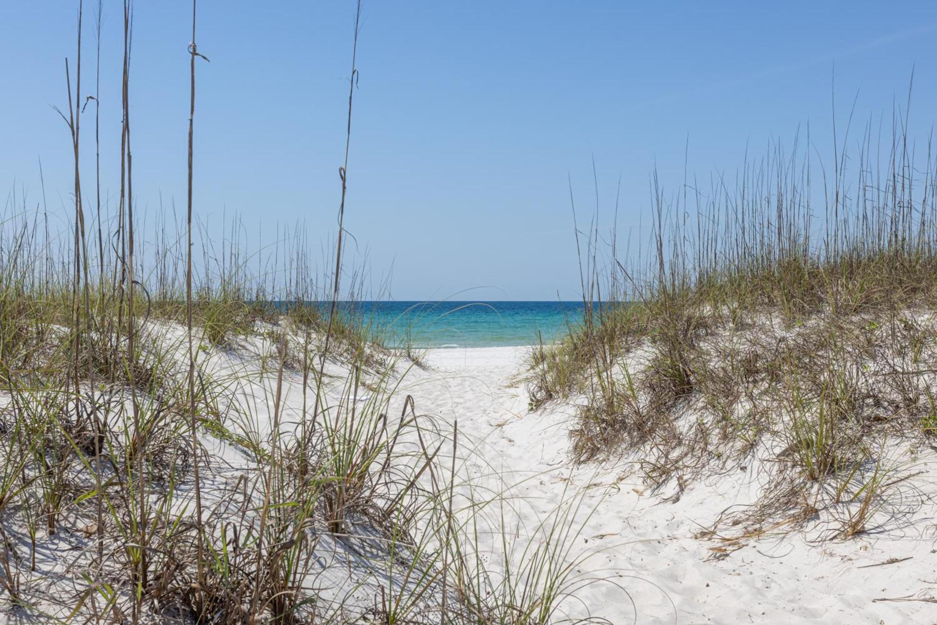 The Pensacola Beach Resort photo 67