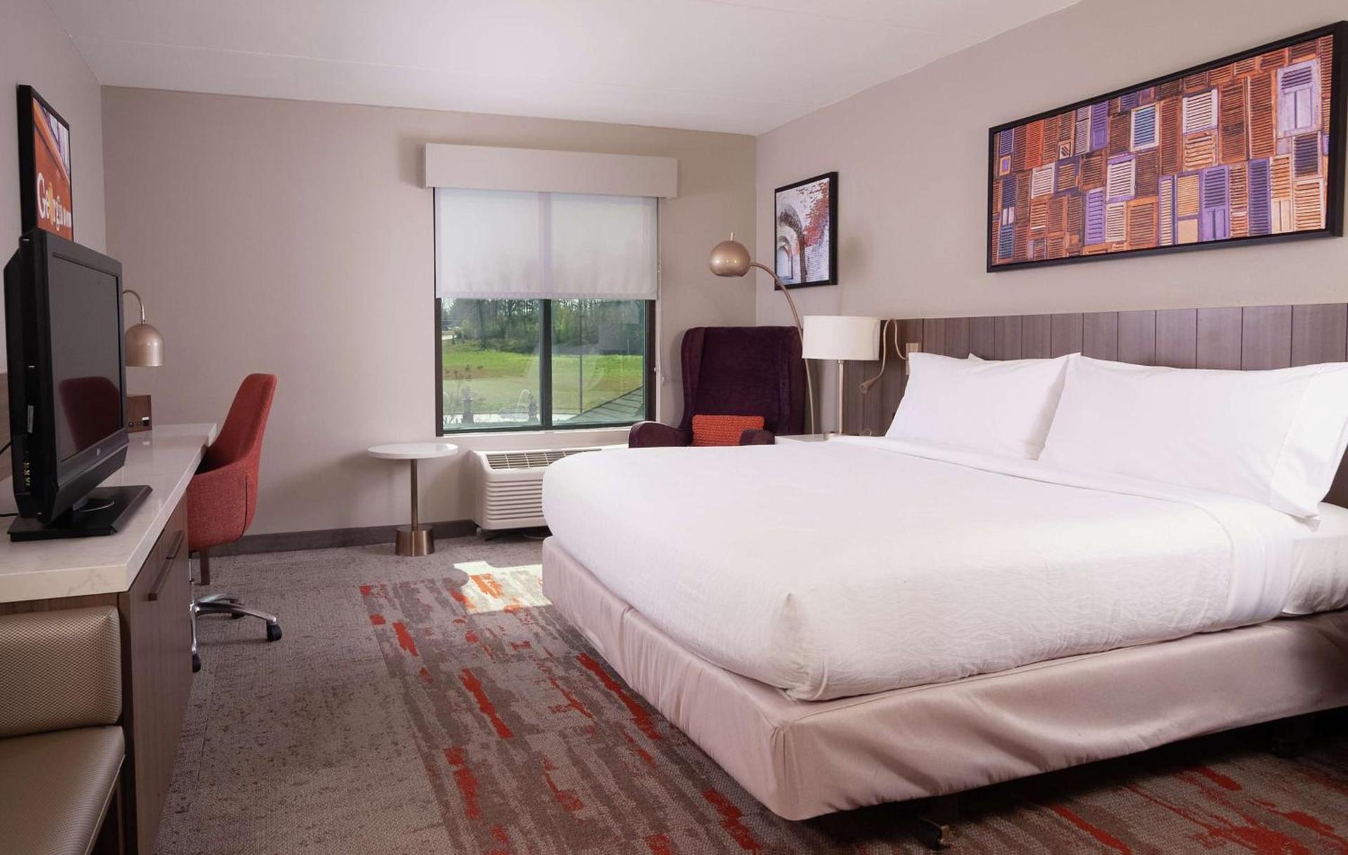 Hilton Garden Inn Atlanta Airport/Millenium Center photo 14