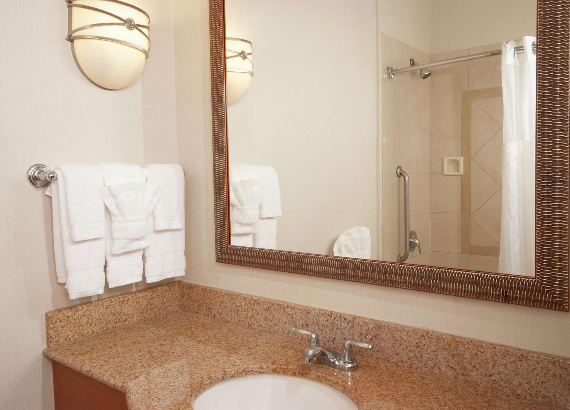 Hilton Garden Inn Atlanta Airport/Millenium Center photo 16