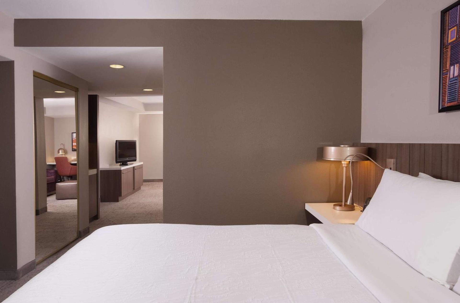 Hilton Garden Inn Atlanta Airport/Millenium Center photo 20