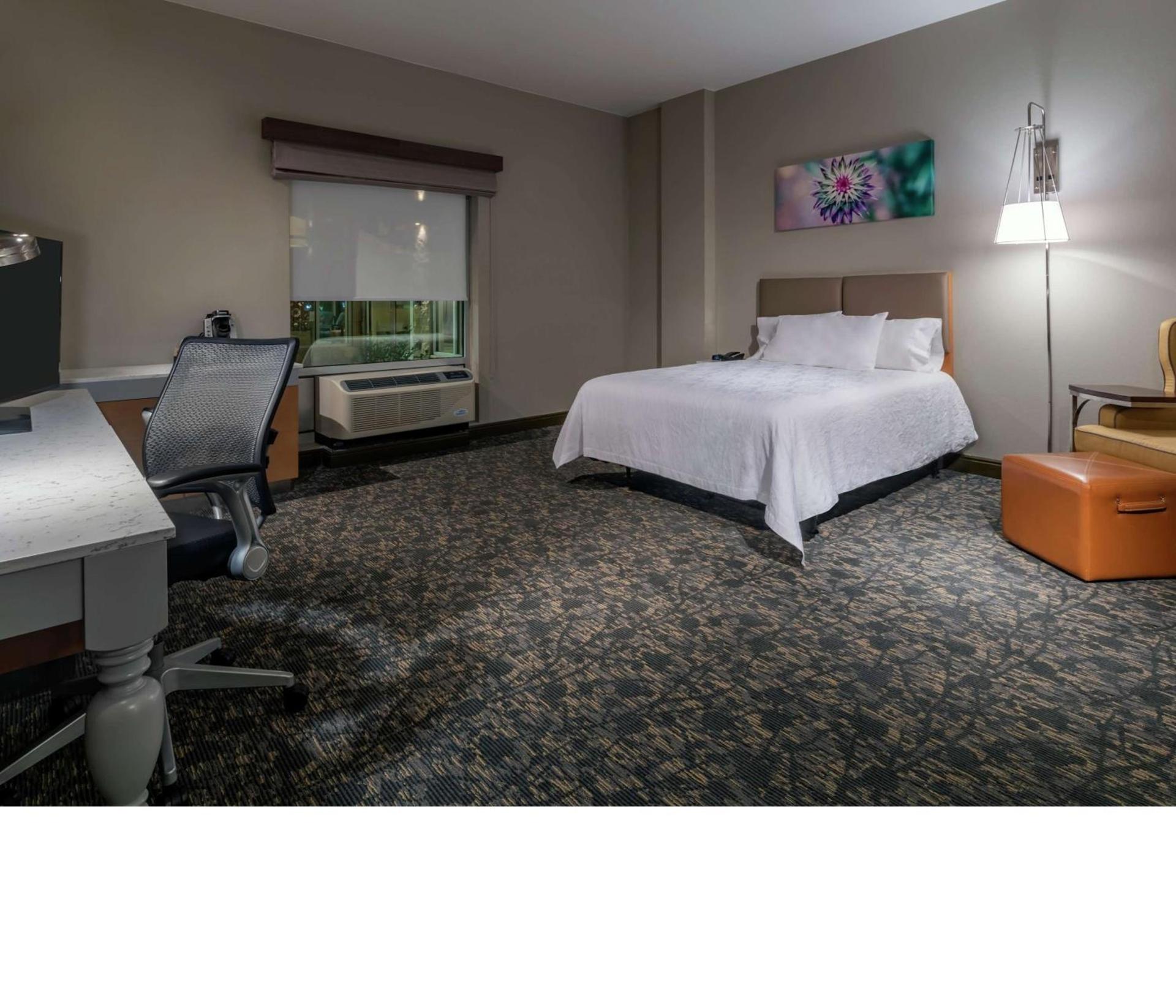 Hilton Garden Inn Arvada/Denver, CO photo 16