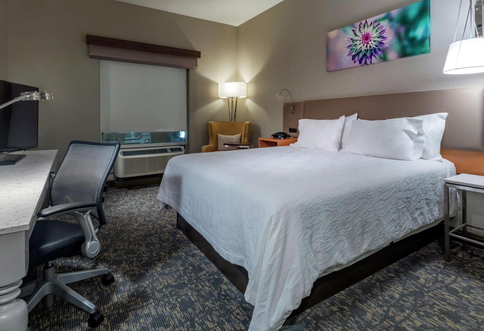 Hilton Garden Inn Arvada/Denver, CO photo 18