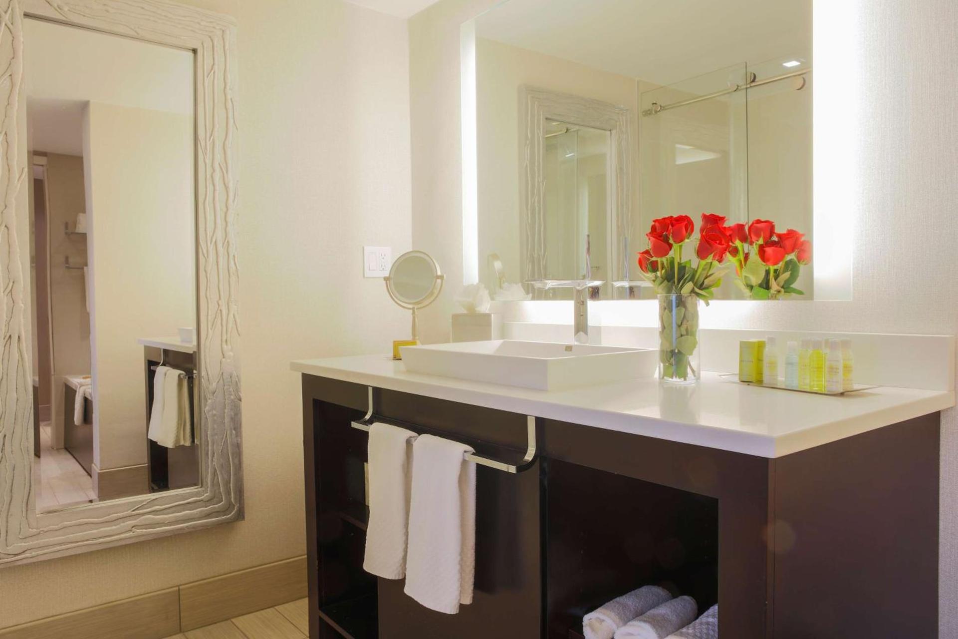 DoubleTree by Hilton Rochester photo 22