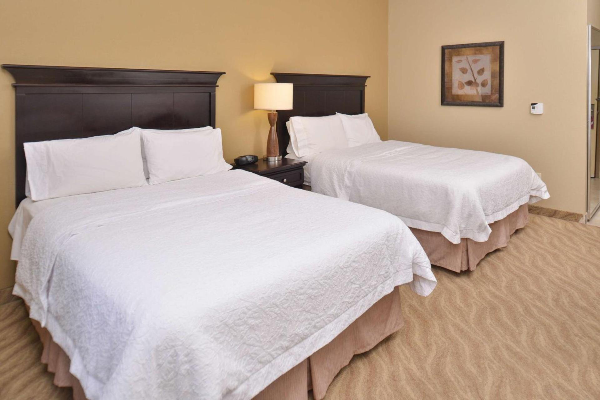 Hampton Inn Van Horn photo 23