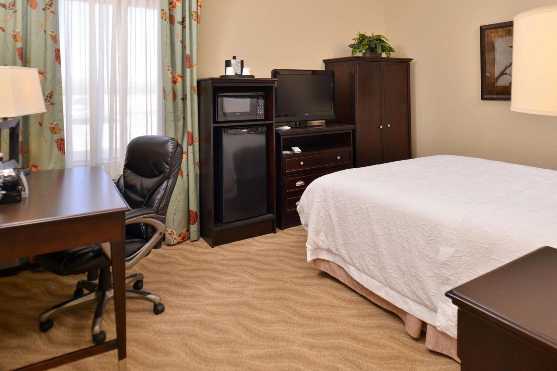 Hampton Inn Van Horn photo 31