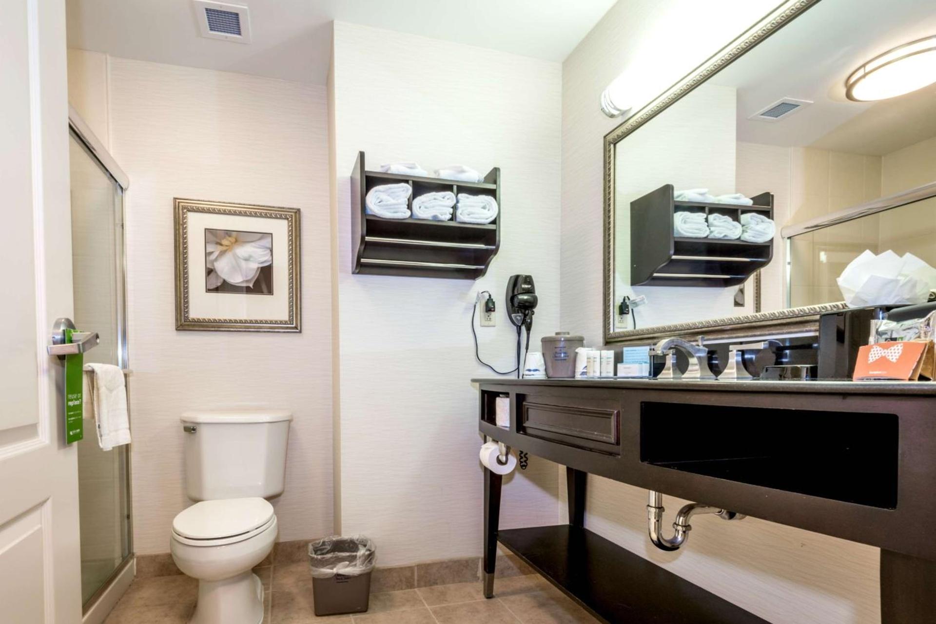 Hampton Inn & Suites Montgomery-Downtown photo 44