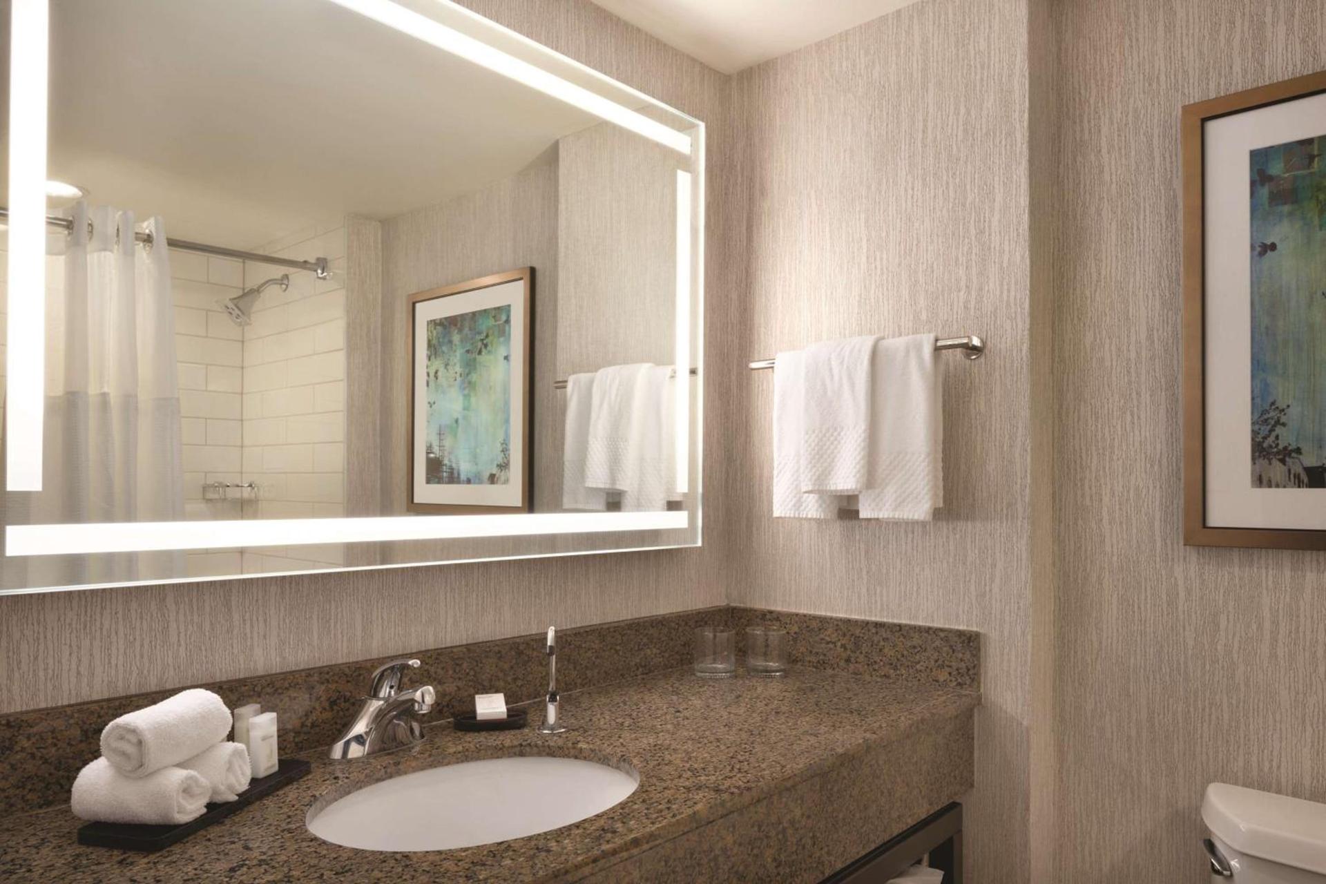 Embassy Suites by Hilton Atlanta at Centennial Olympic Park photo 47
