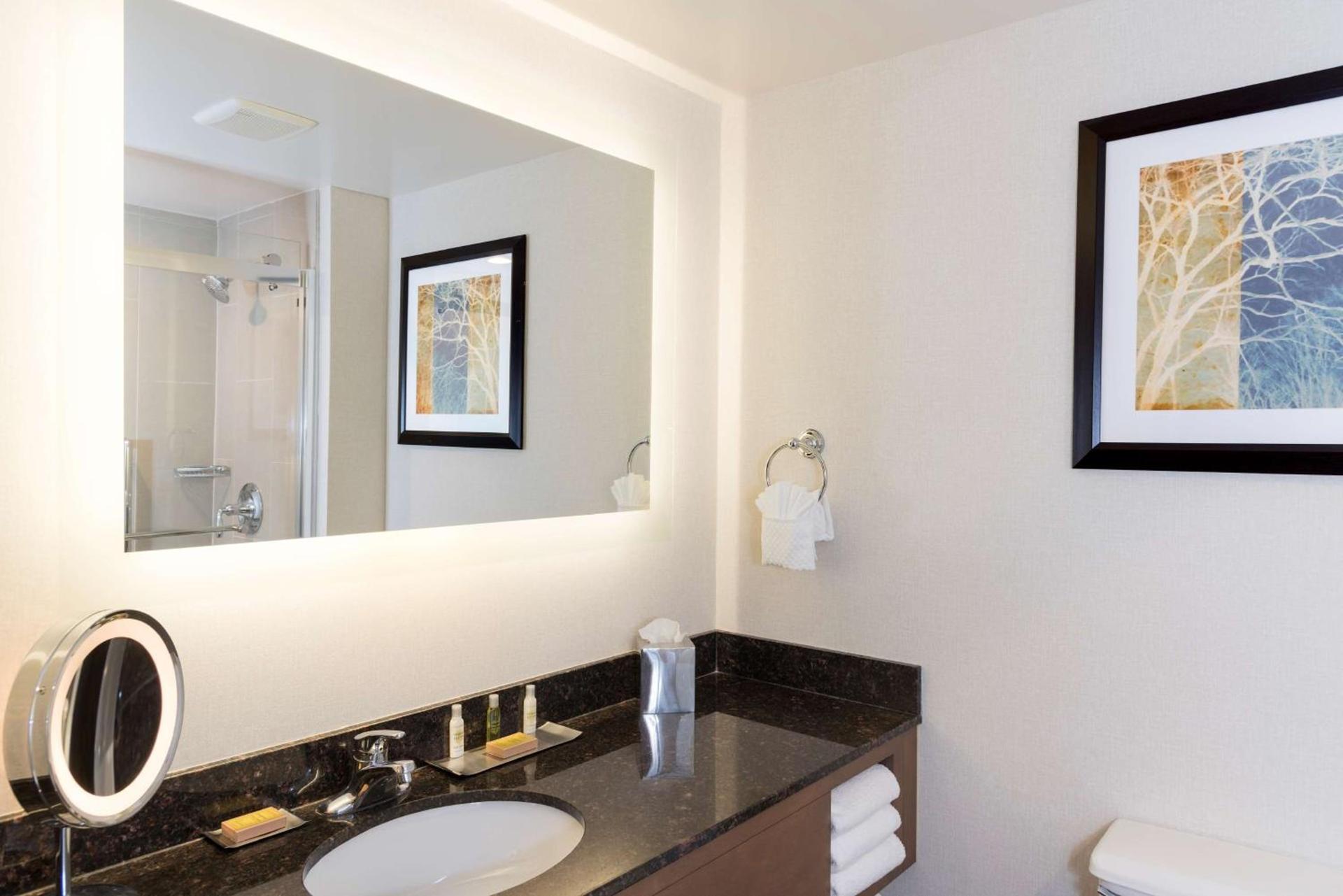 Doubletree by Hilton Pleasant Prairie Kenosha, WI photo 14