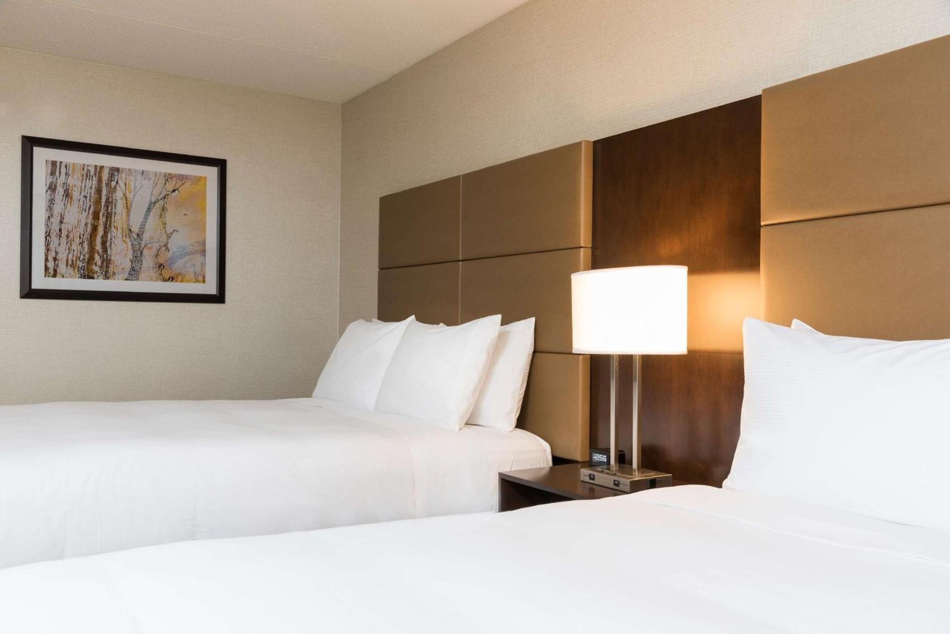 Doubletree by Hilton Pleasant Prairie Kenosha, WI photo 17