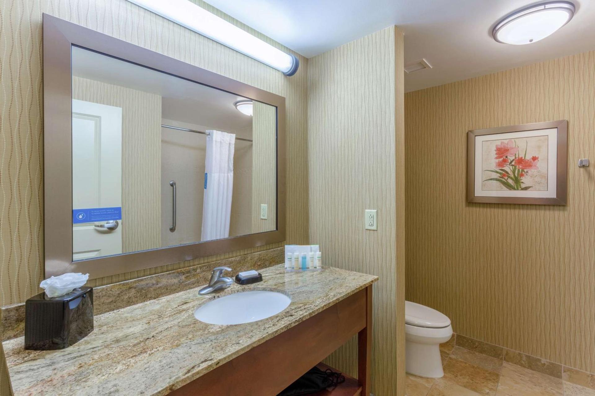 Hampton Inn Owings Mills photo 17