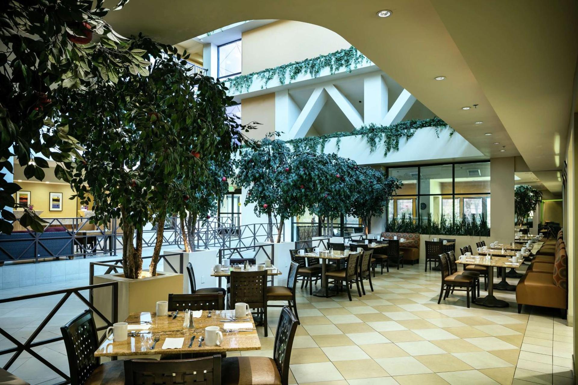 Hilton Stockton photo 8