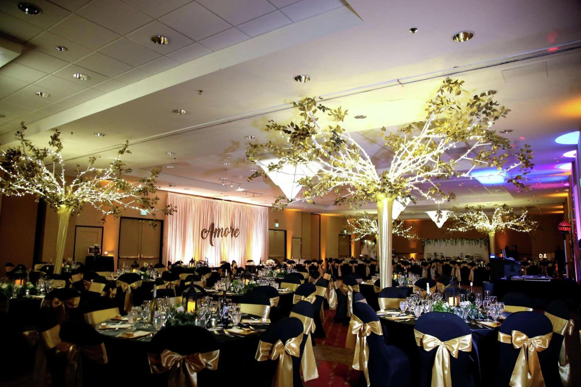 Hilton Stockton photo 33