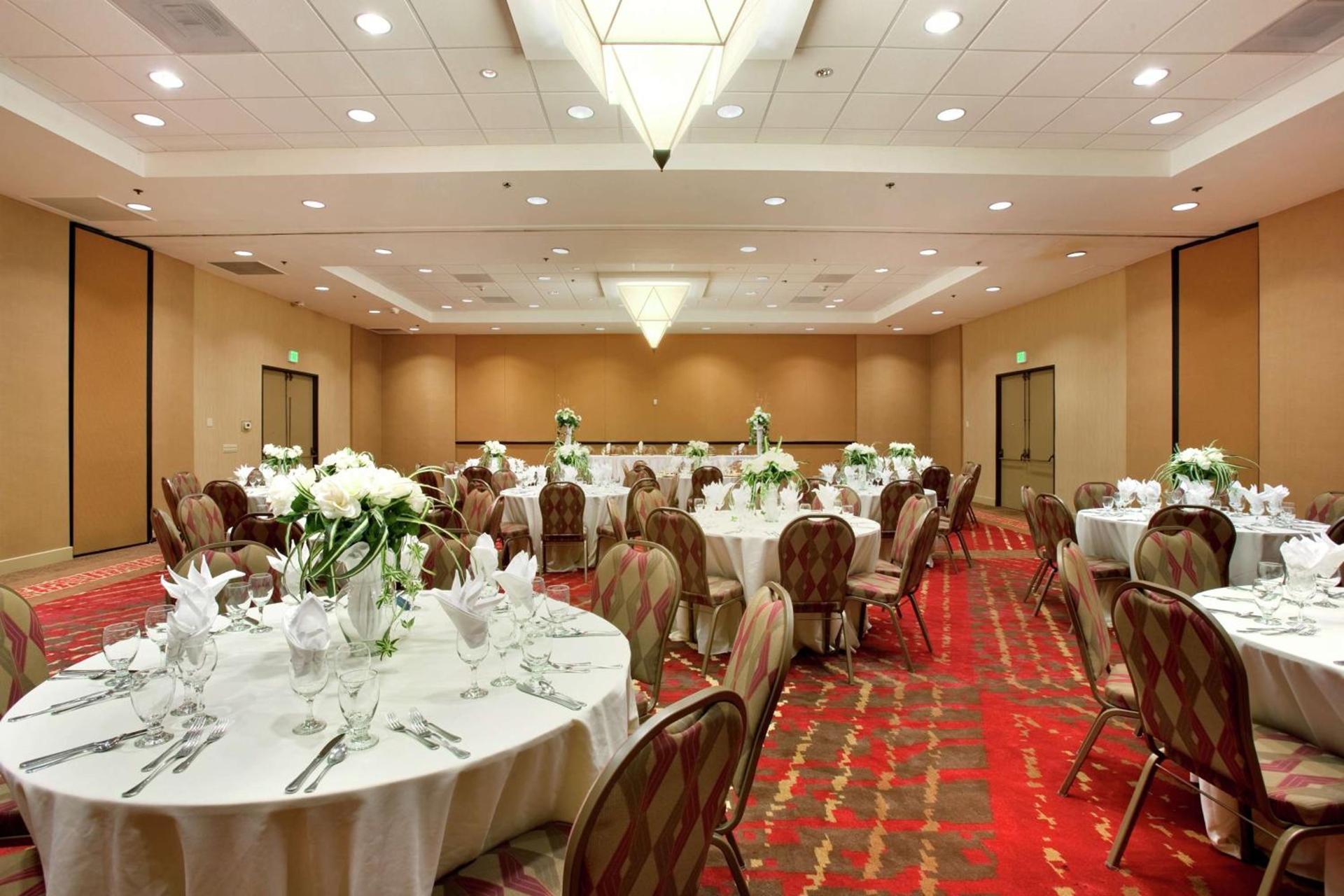 Hilton Stockton photo 45