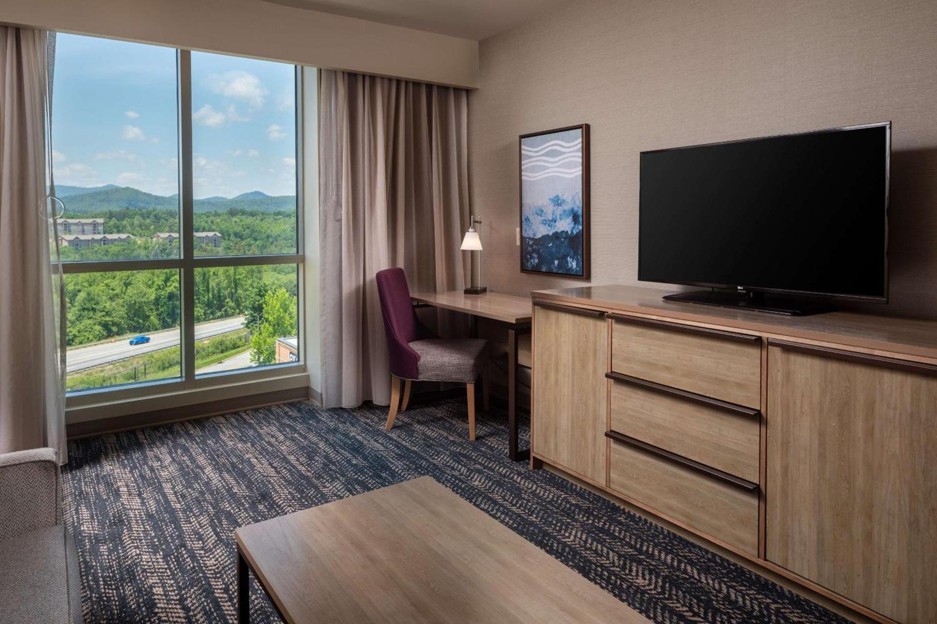Hilton Asheville Biltmore Park photo 26