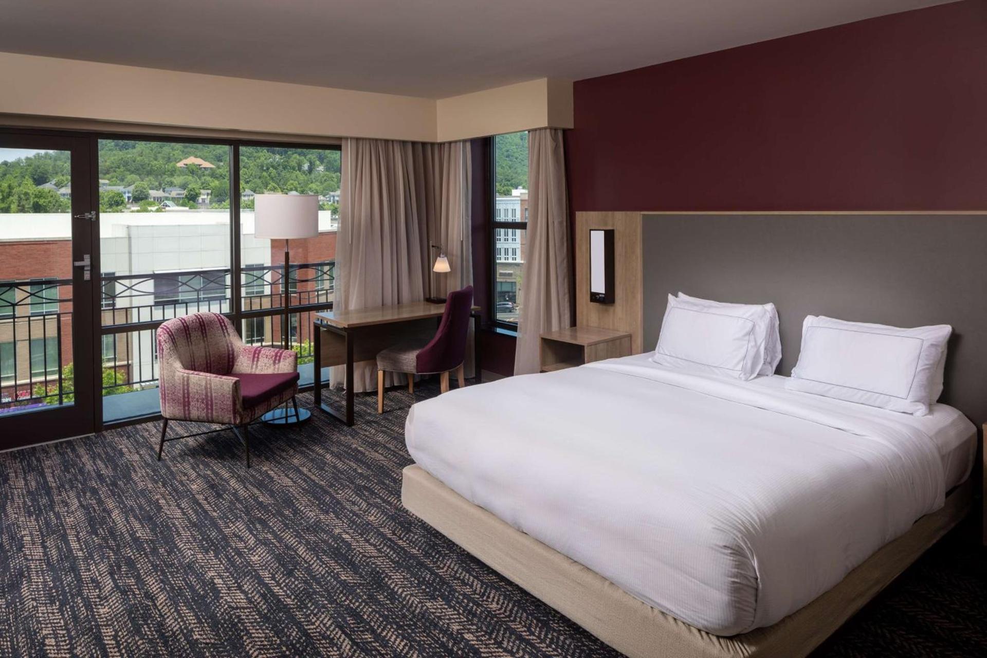 Hilton Asheville Biltmore Park photo 41