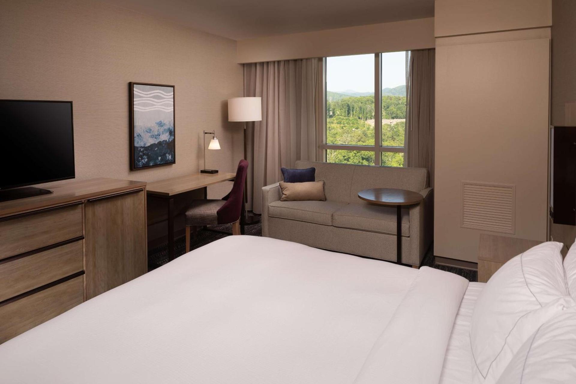 Hilton Asheville Biltmore Park photo 65