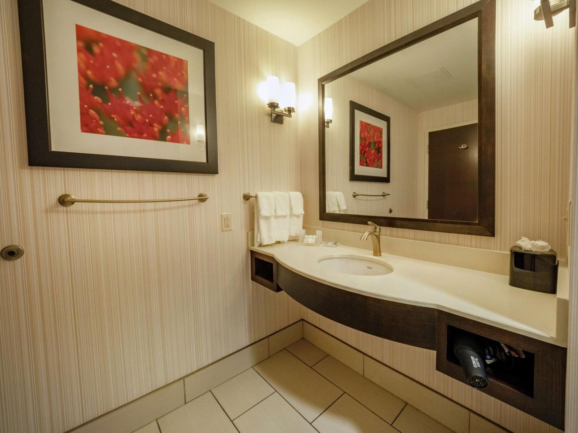 The Hilton Garden Inn Buffalo-Downtown photo 44