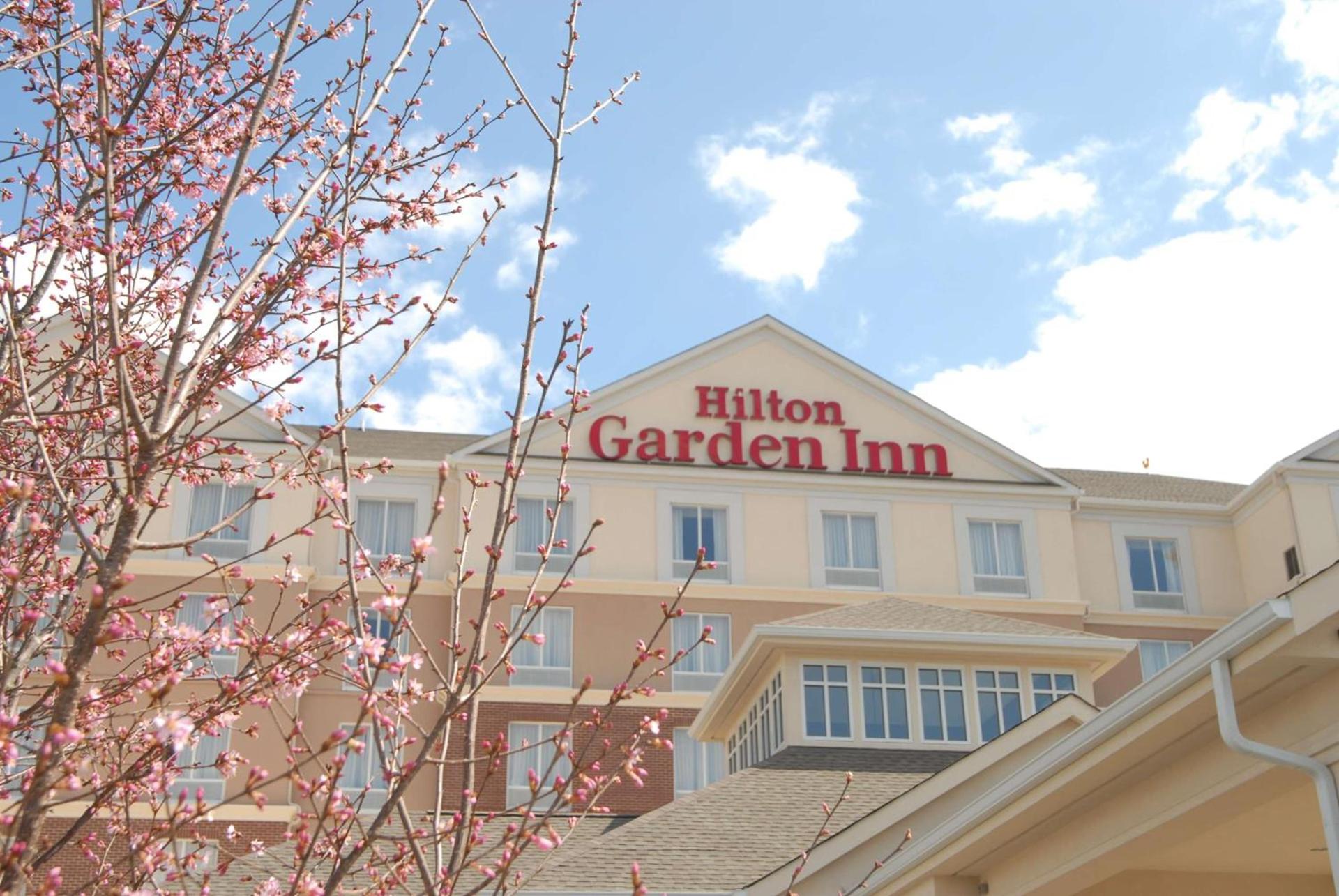 Hilton Garden Inn Charlotte/Concord photo 3