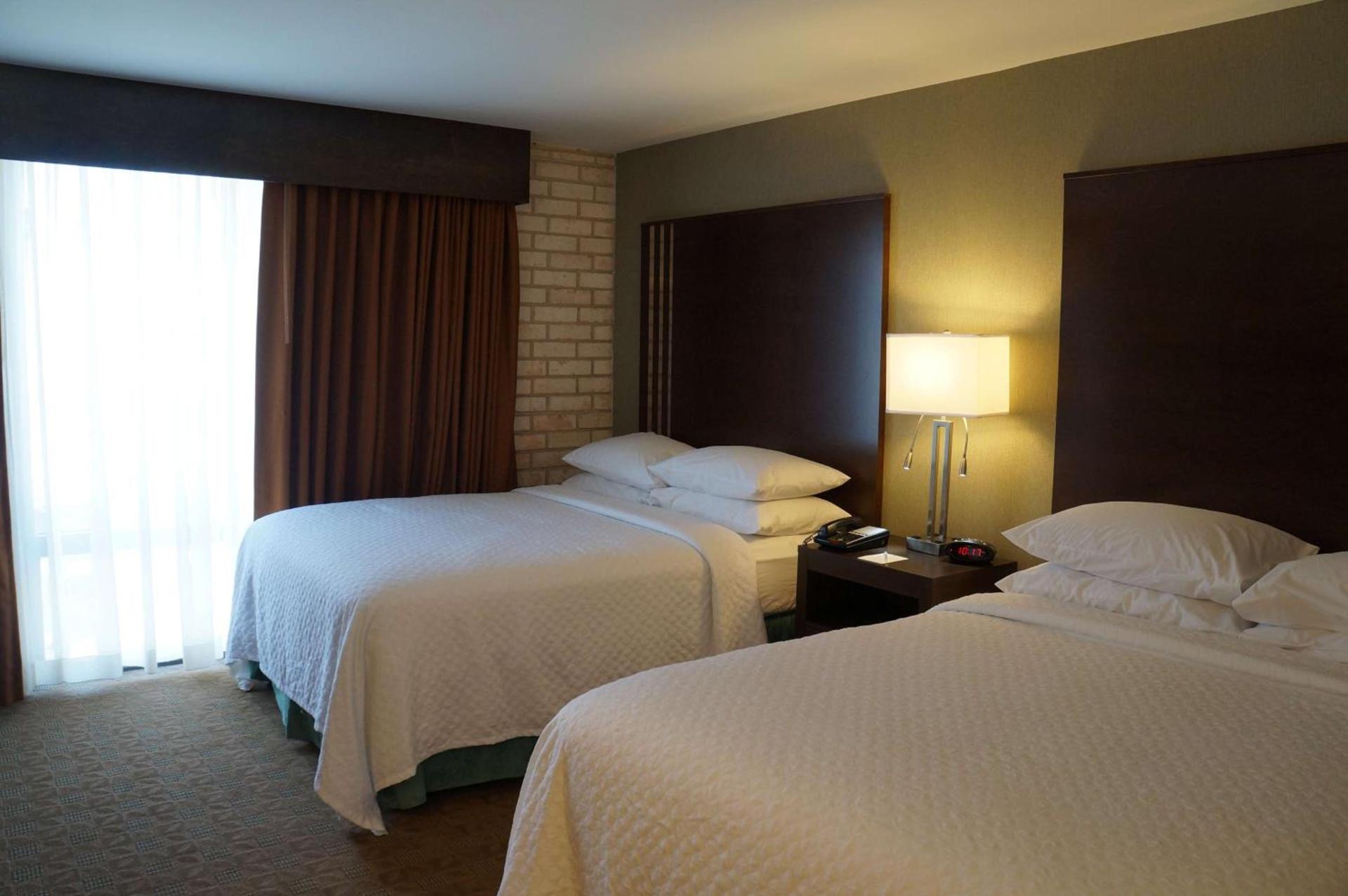 Embassy Suites Corpus Christi photo 26