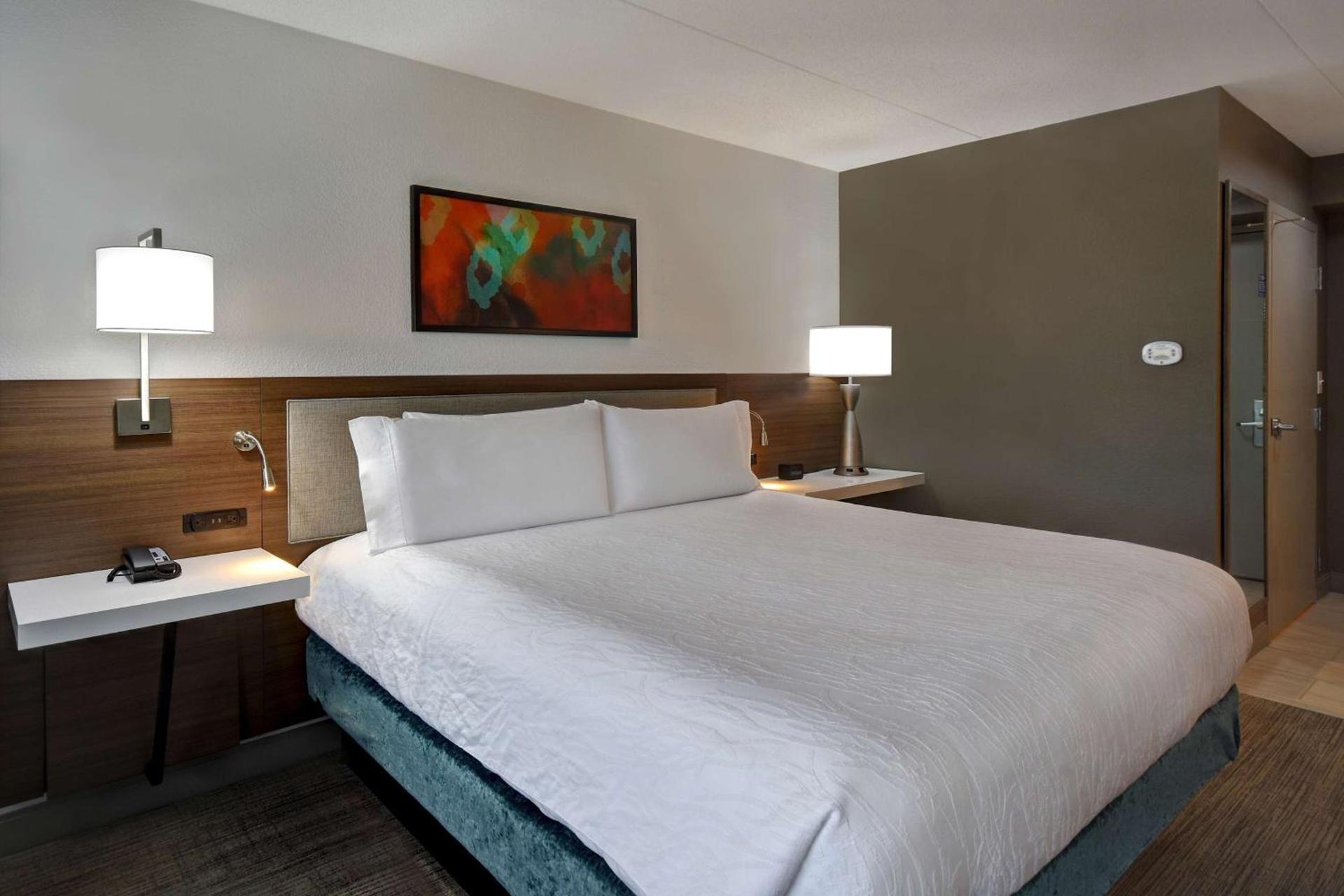 Hilton Garden Inn Detroit Metro Airport photo 17