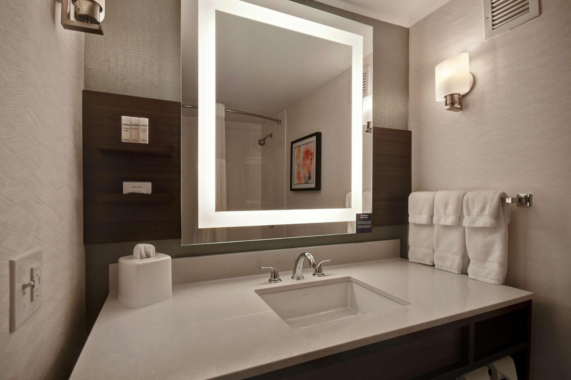 Hilton Garden Inn Detroit Metro Airport photo 21