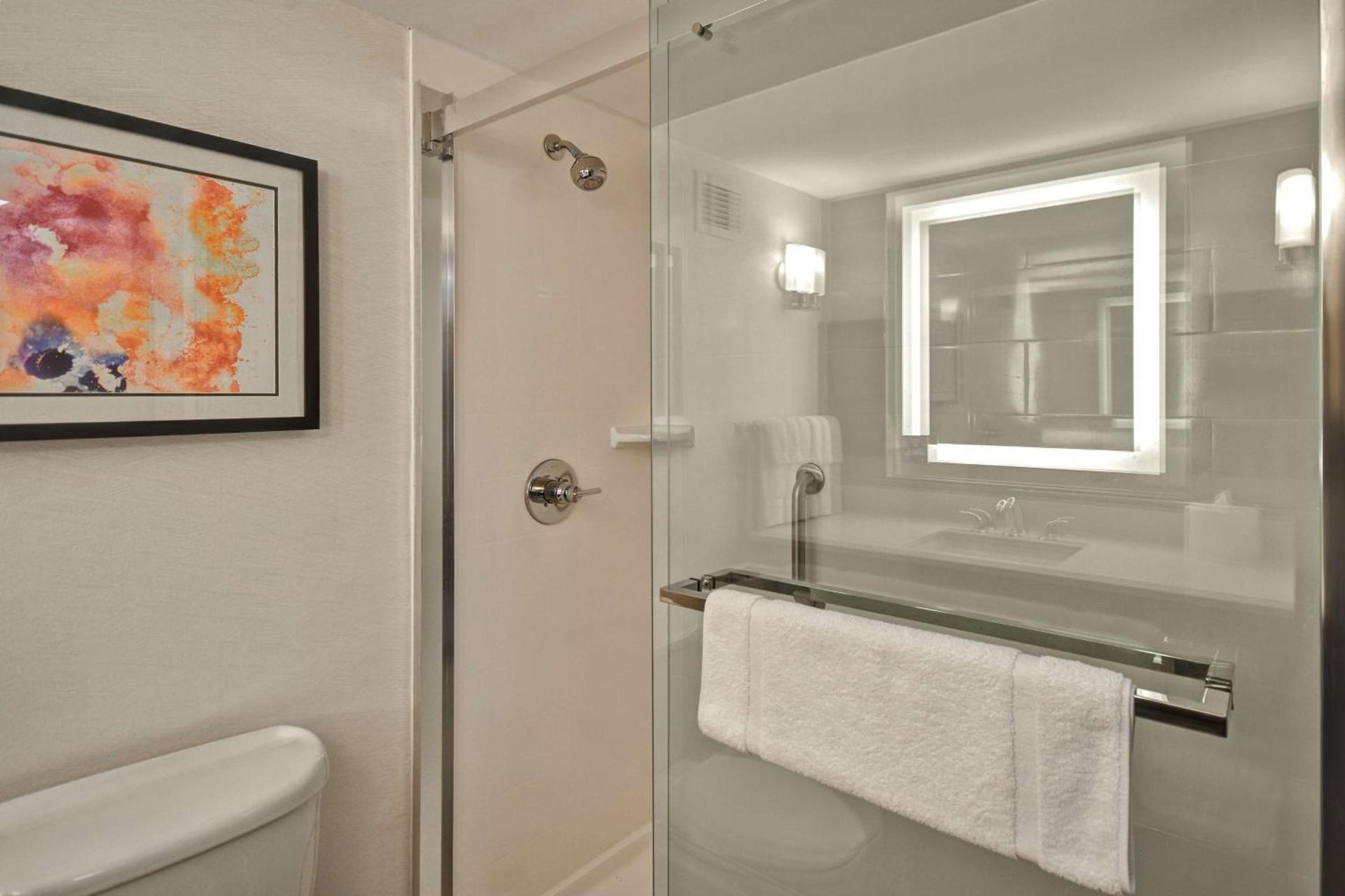 Hilton Garden Inn Detroit Metro Airport photo 27