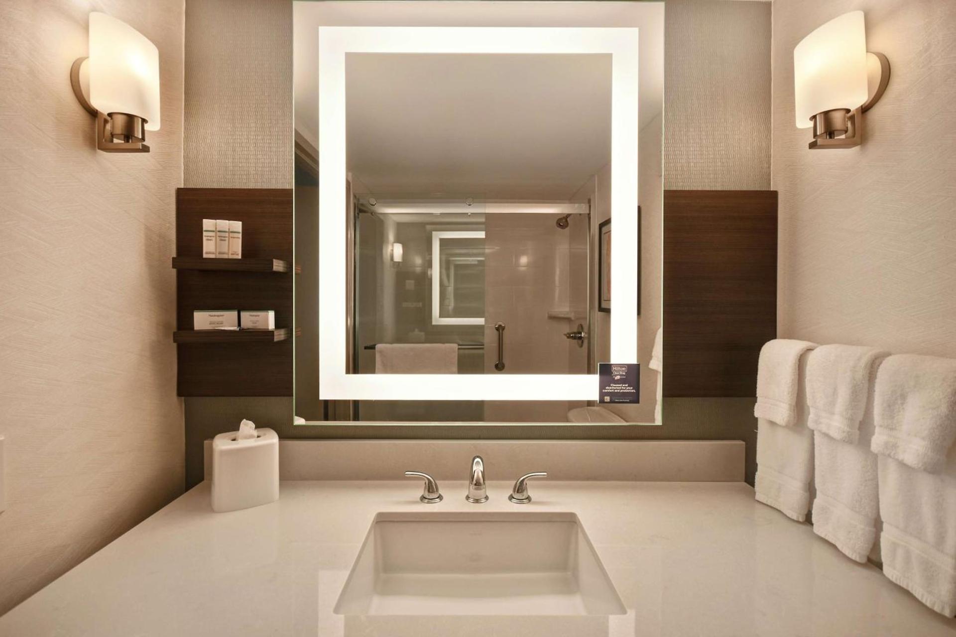 Hilton Garden Inn Detroit Metro Airport photo 30