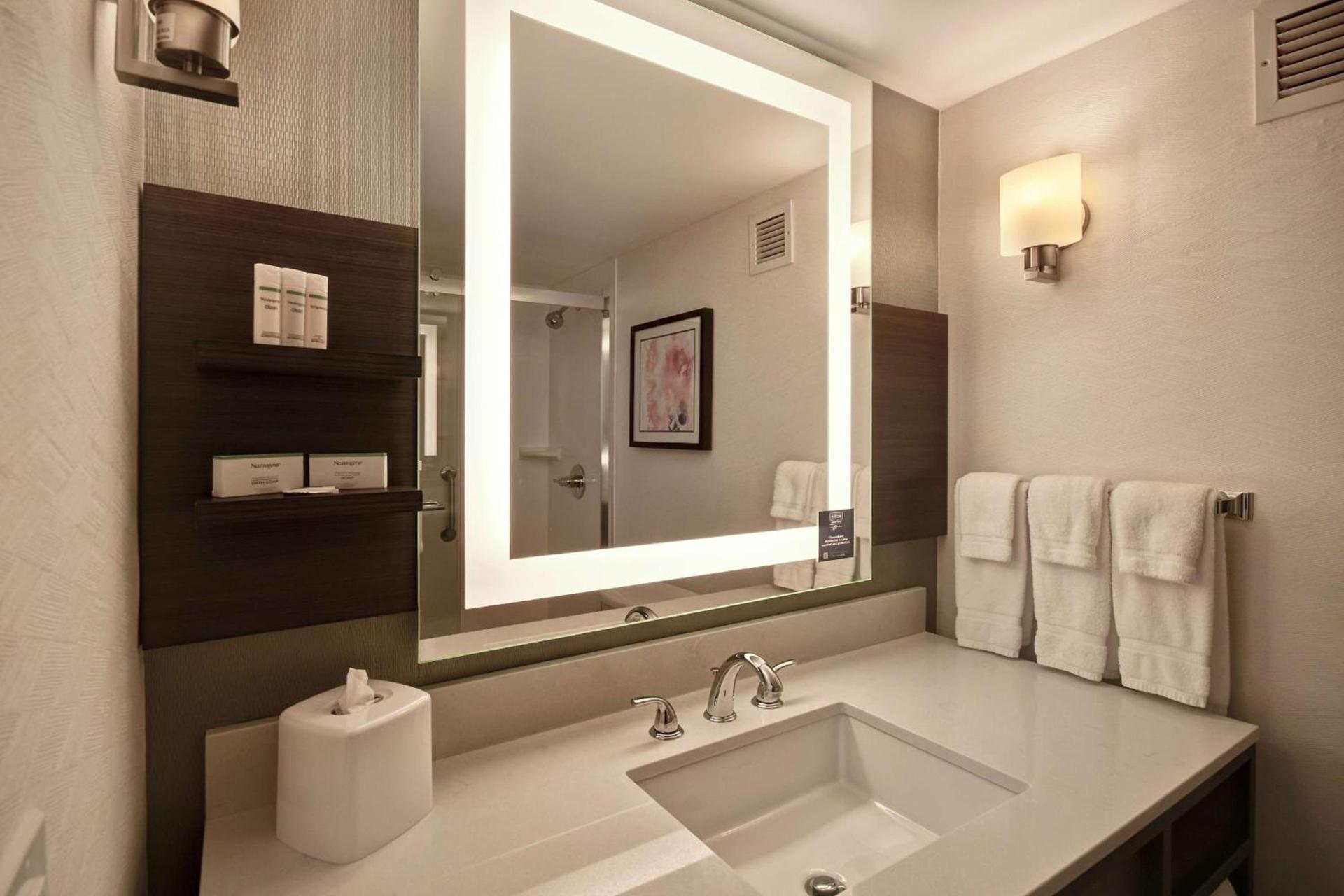 Hilton Garden Inn Detroit Metro Airport photo 33