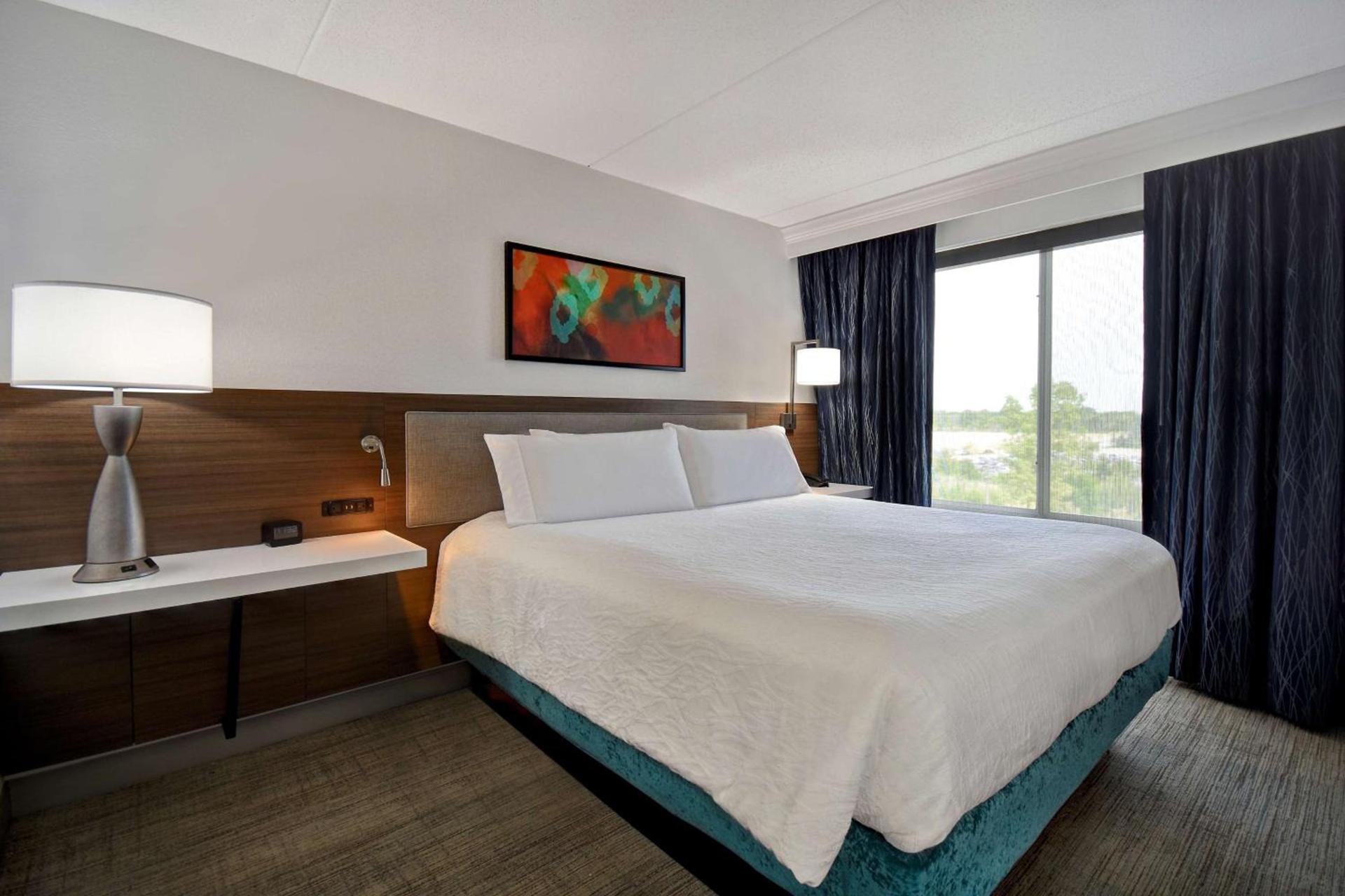 Hilton Garden Inn Detroit Metro Airport photo 34