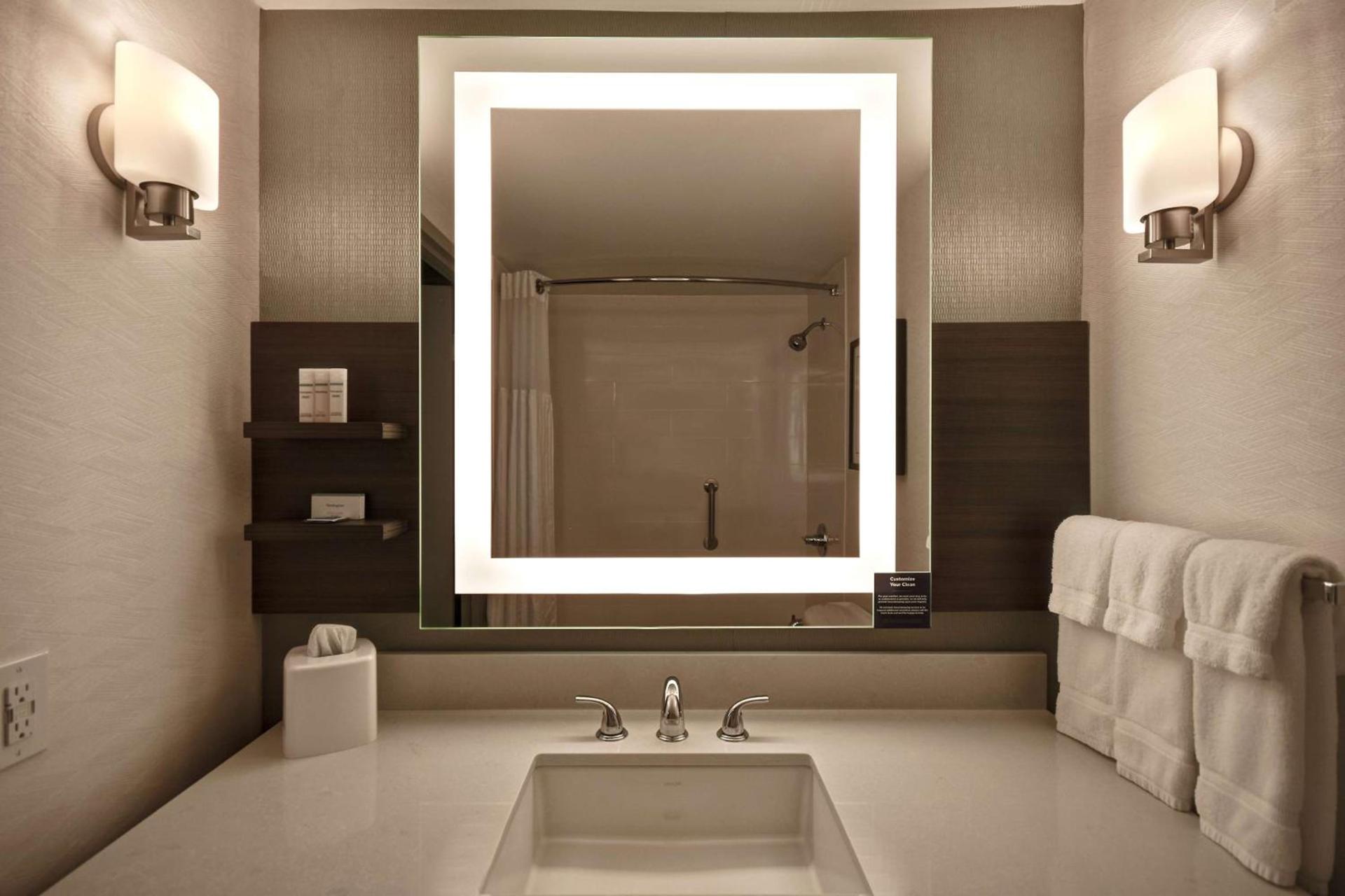 Hilton Garden Inn Detroit Metro Airport photo 40