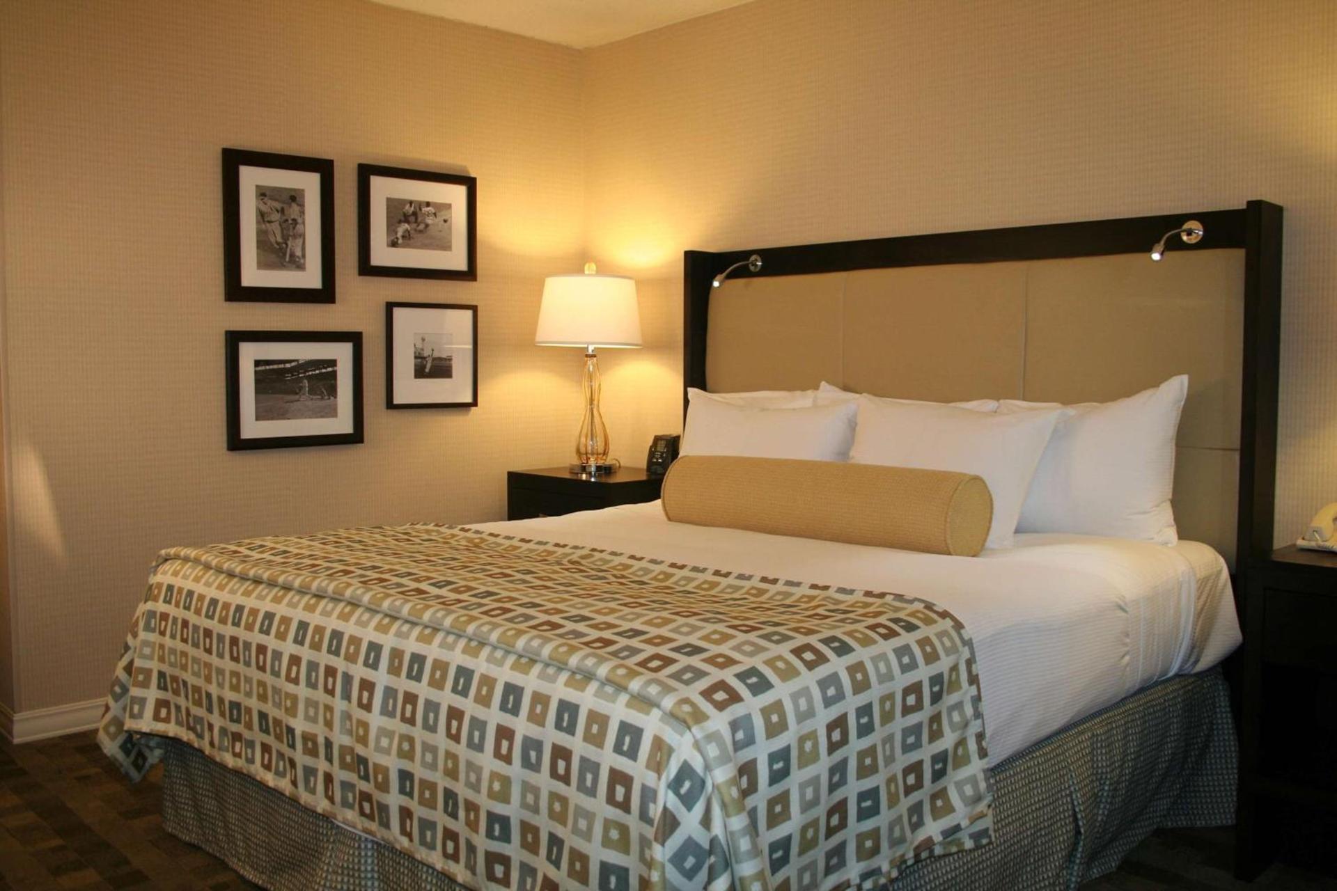 Hilton St. Louis at the Ballpark photo 29