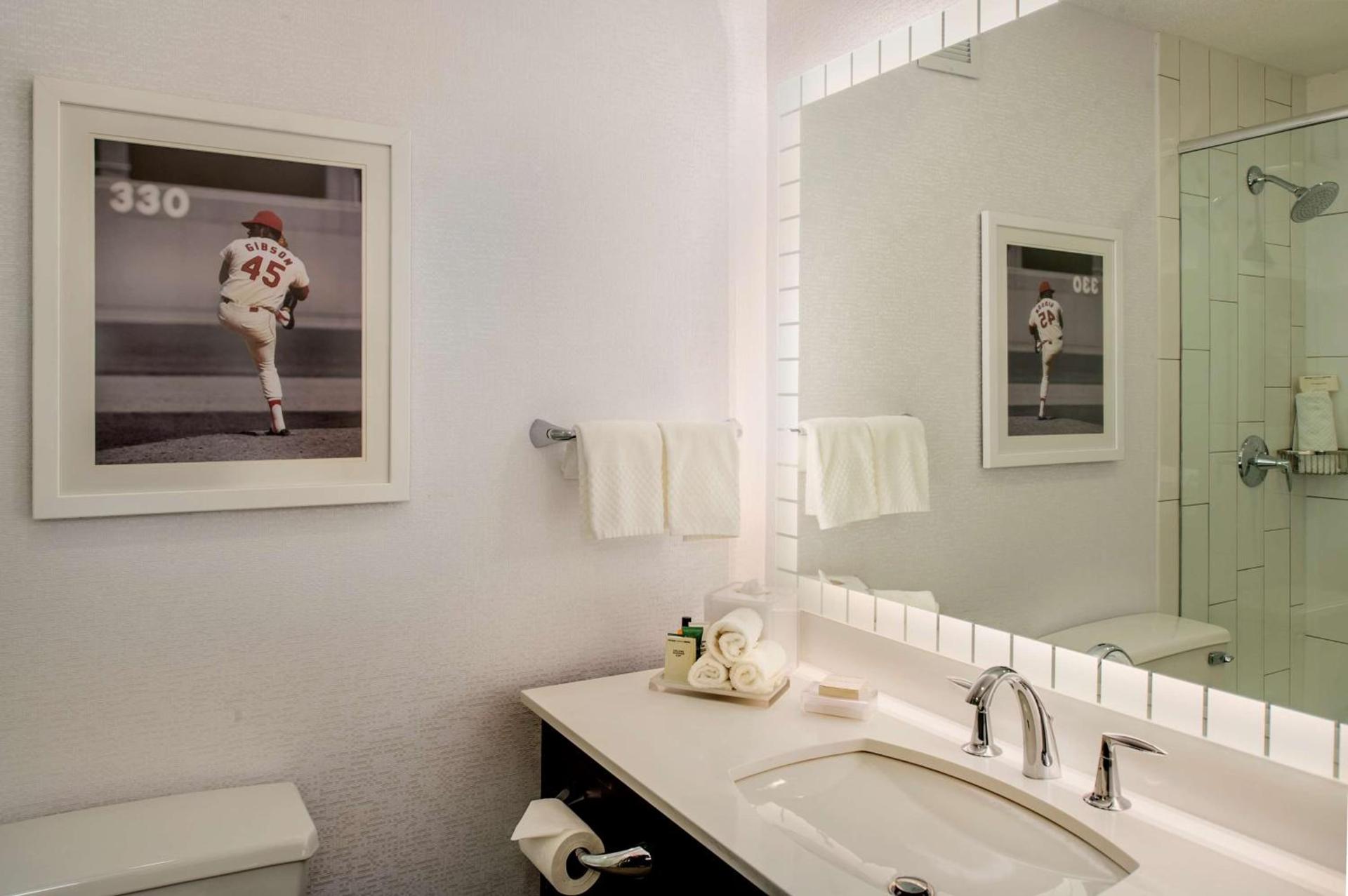 Hilton St. Louis at the Ballpark photo 48