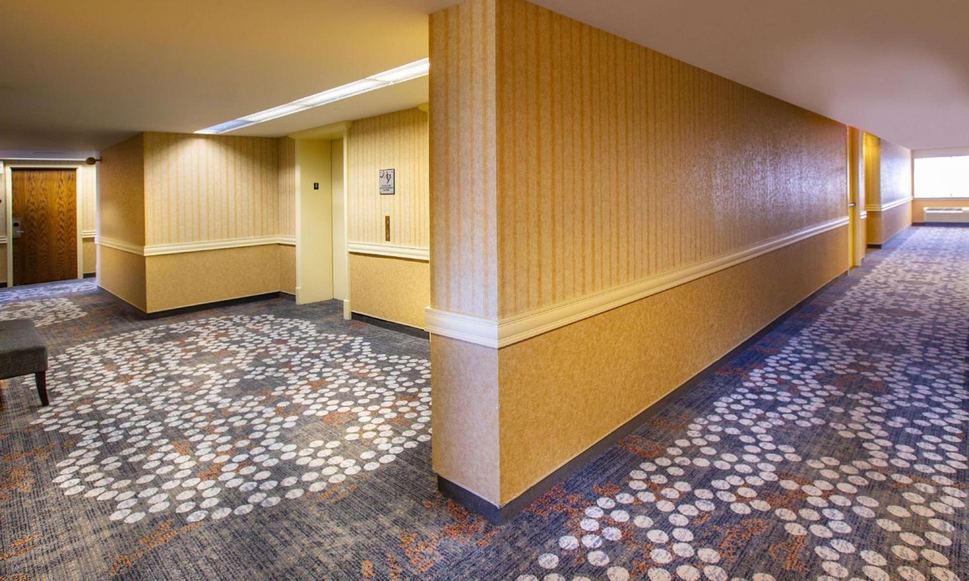 Hilton Chicago/Northbrook photo 98