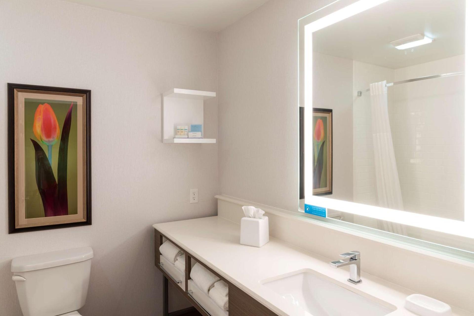 Hampton Inn Holland photo 33