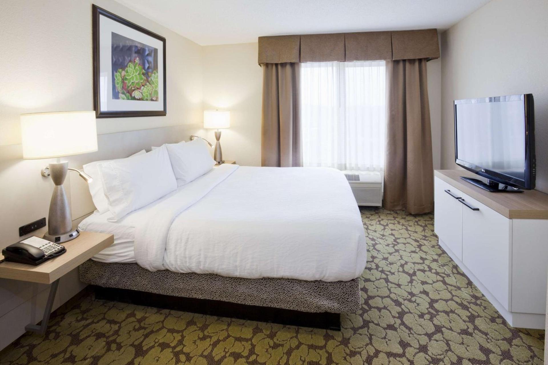 Hilton Garden Inn Minneapolis Eagan photo 29