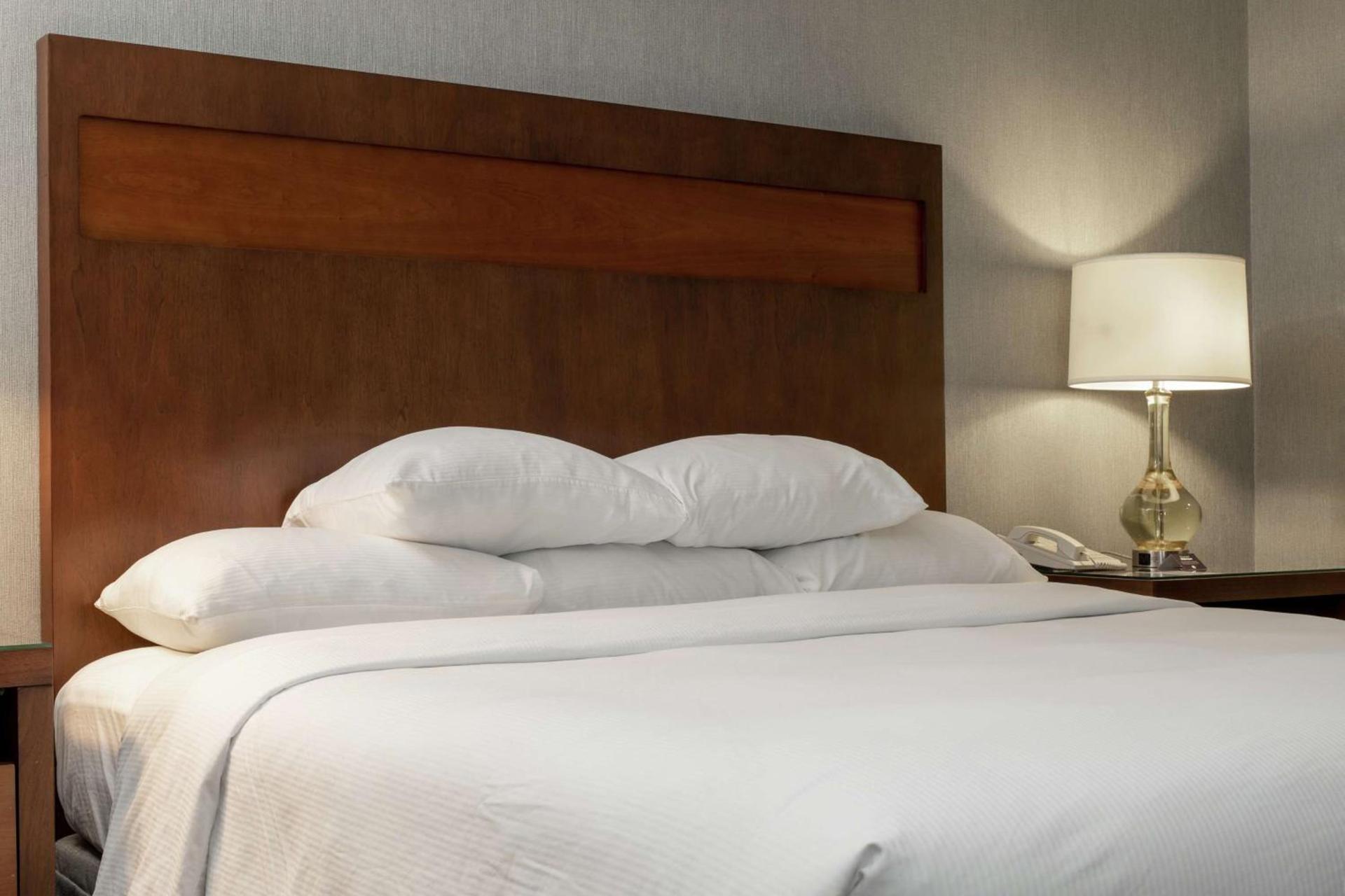 DoubleTree by Hilton Pittsburgh-Green Tree photo 13