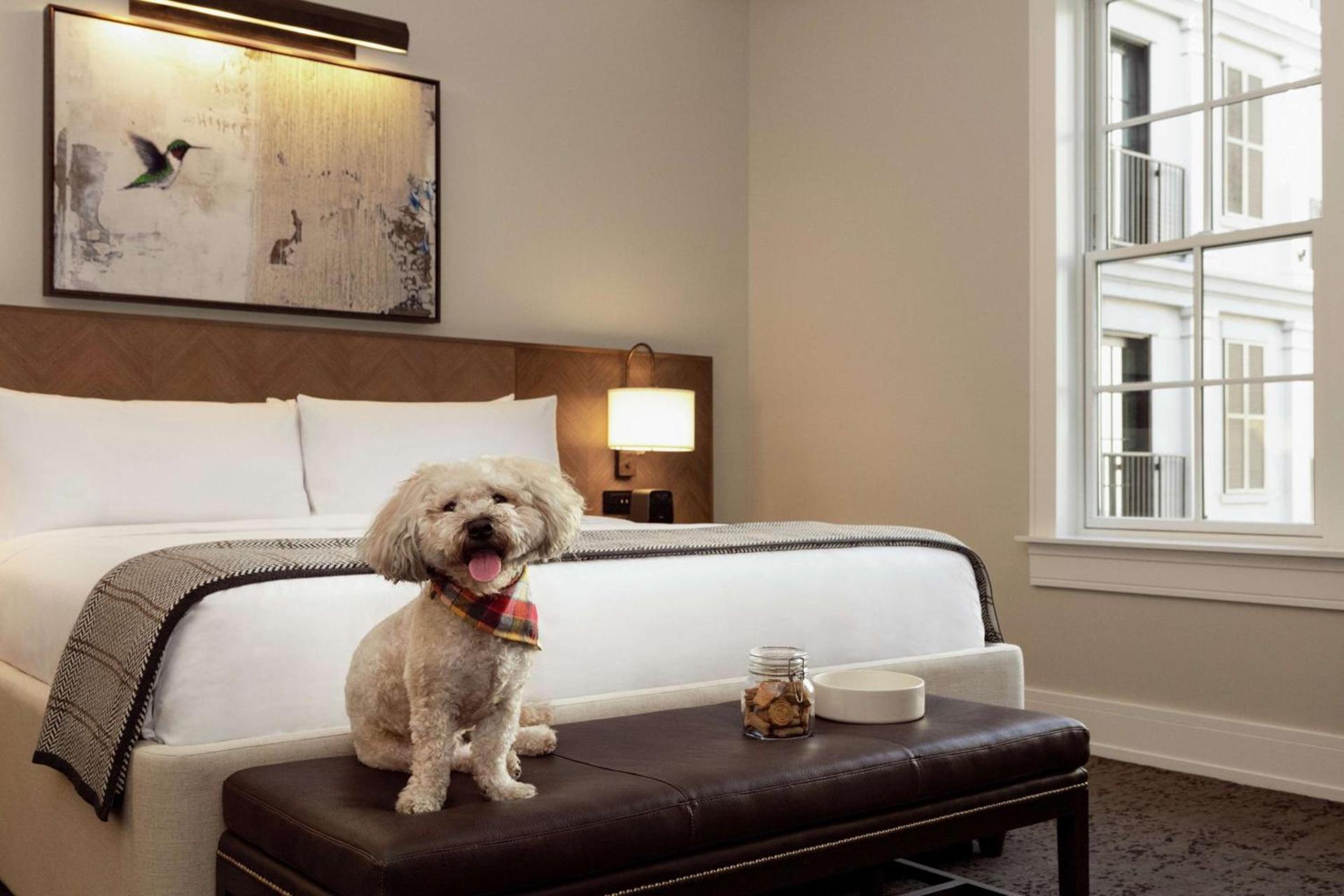 The Harpeth Franklin Downtown, Curio Collection by Hilton photo 56