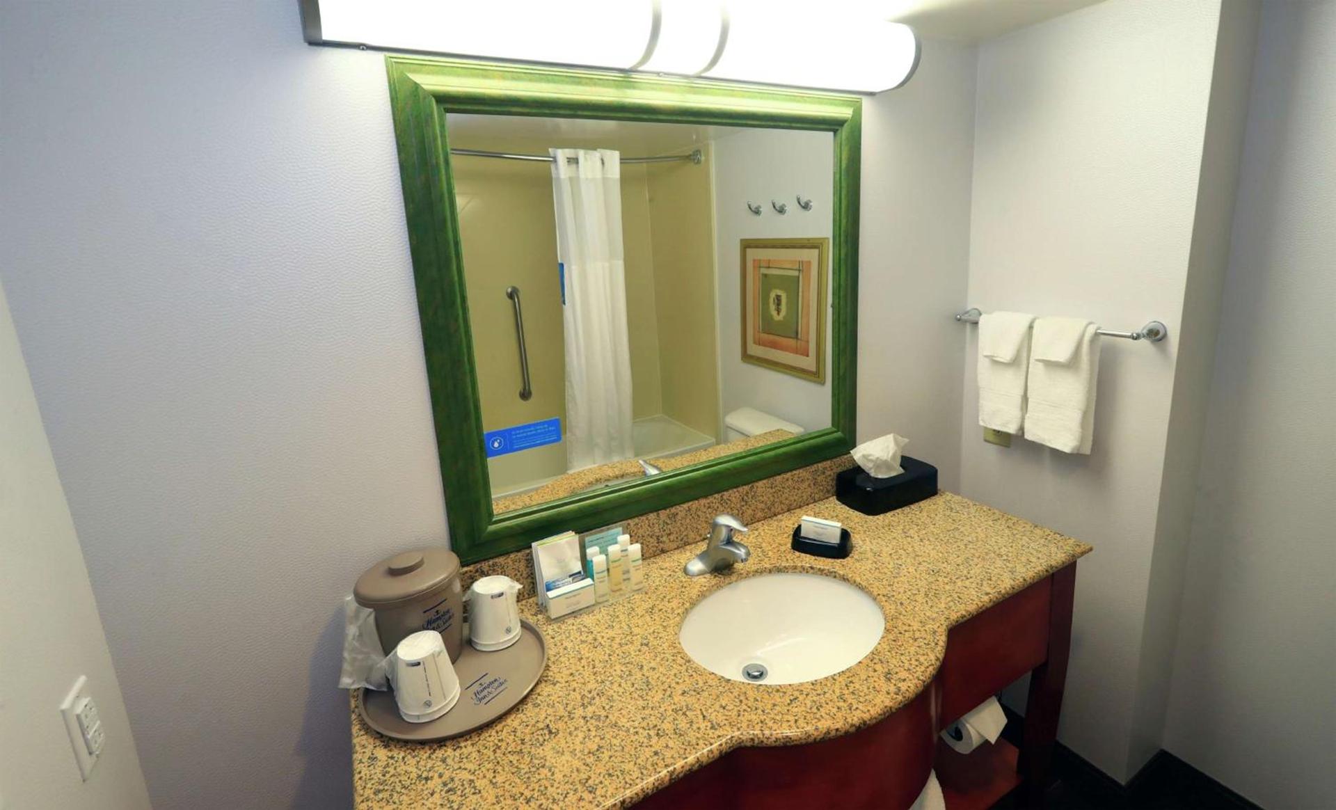 Hampton Inn and Suites of Lamar photo 17