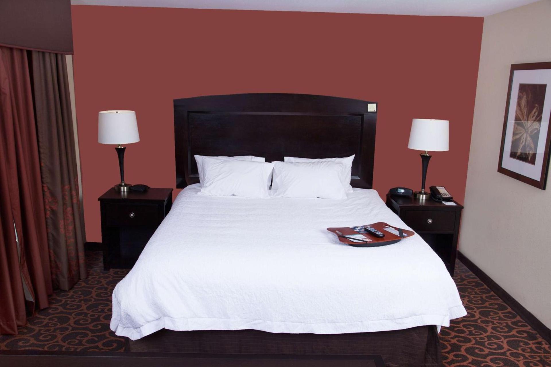 Hampton Inn & Suites Dickinson ND photo 12