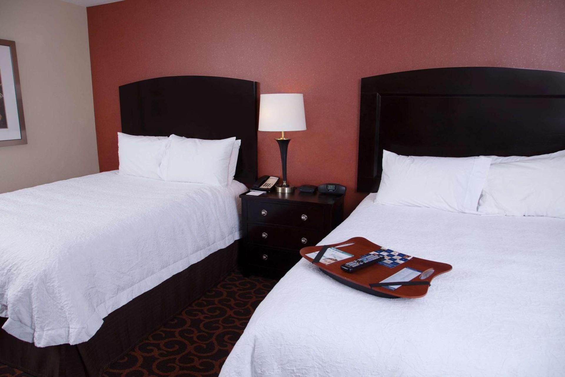 Hampton Inn & Suites Dickinson ND photo 17