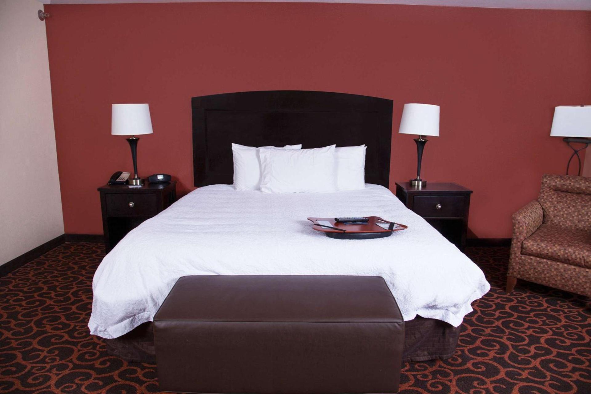 Hampton Inn & Suites Dickinson ND photo 18