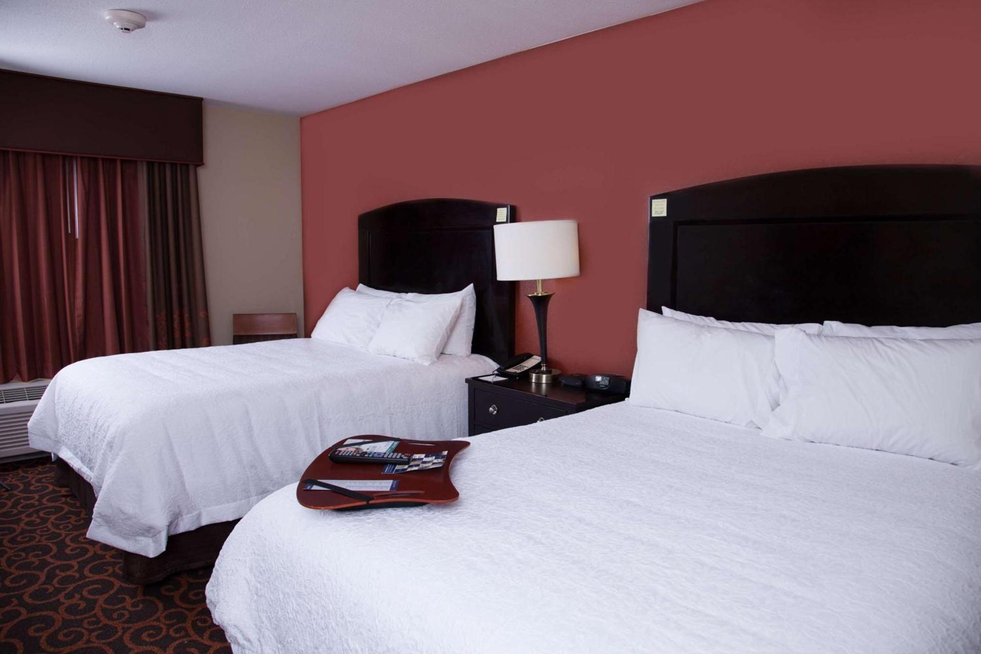 Hampton Inn & Suites Dickinson ND photo 25