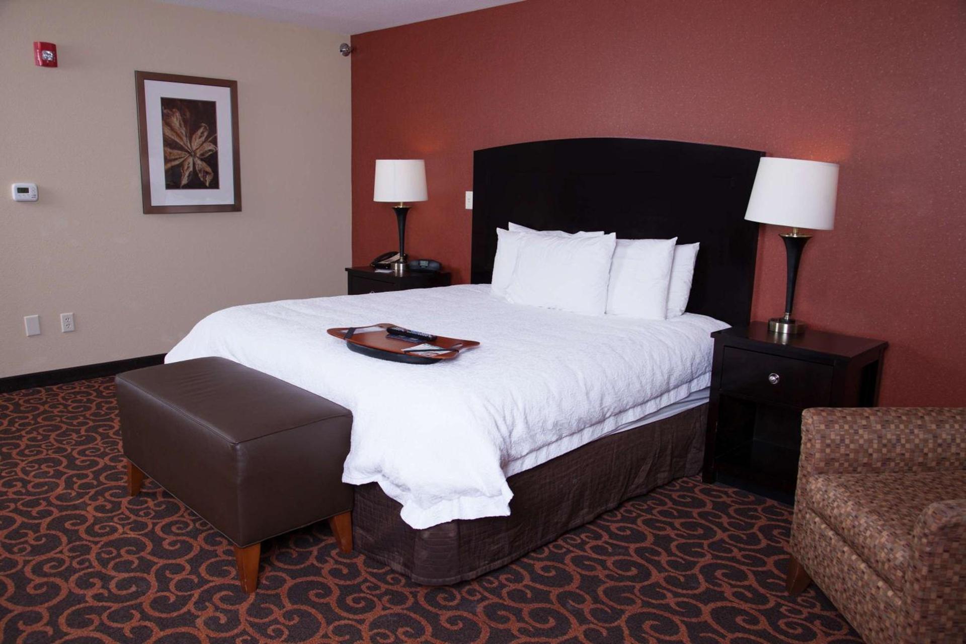 Hampton Inn & Suites Dickinson ND photo 27