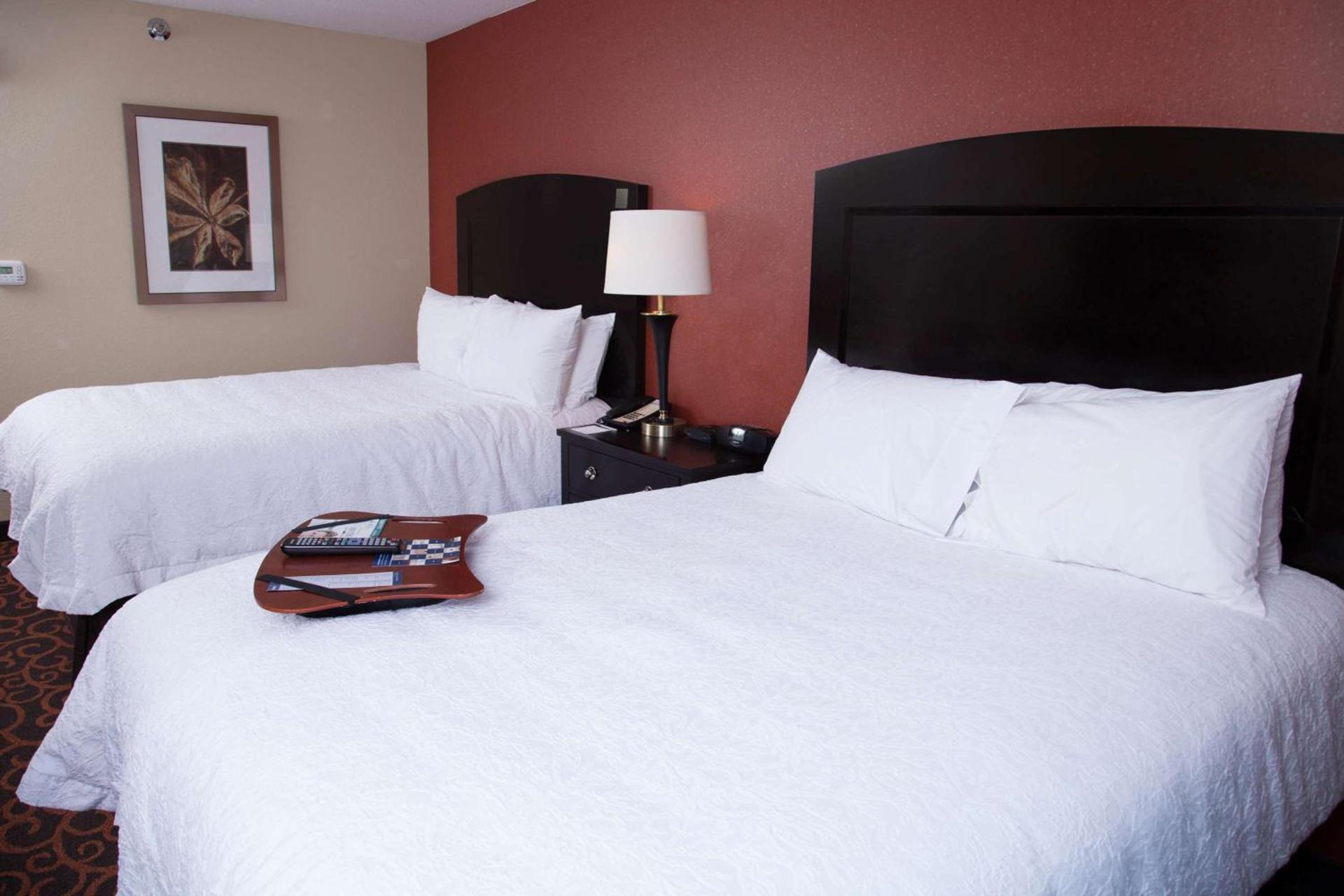 Hampton Inn & Suites Dickinson ND photo 30