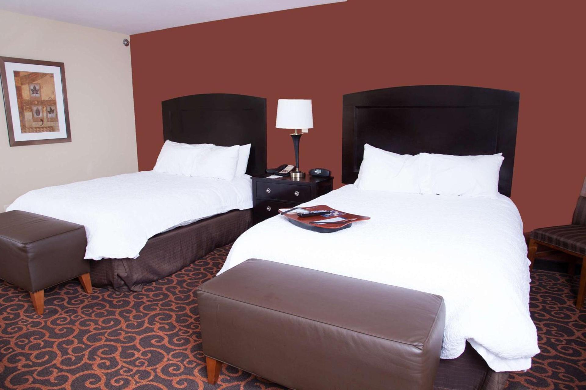 Hampton Inn & Suites Dickinson ND photo 33