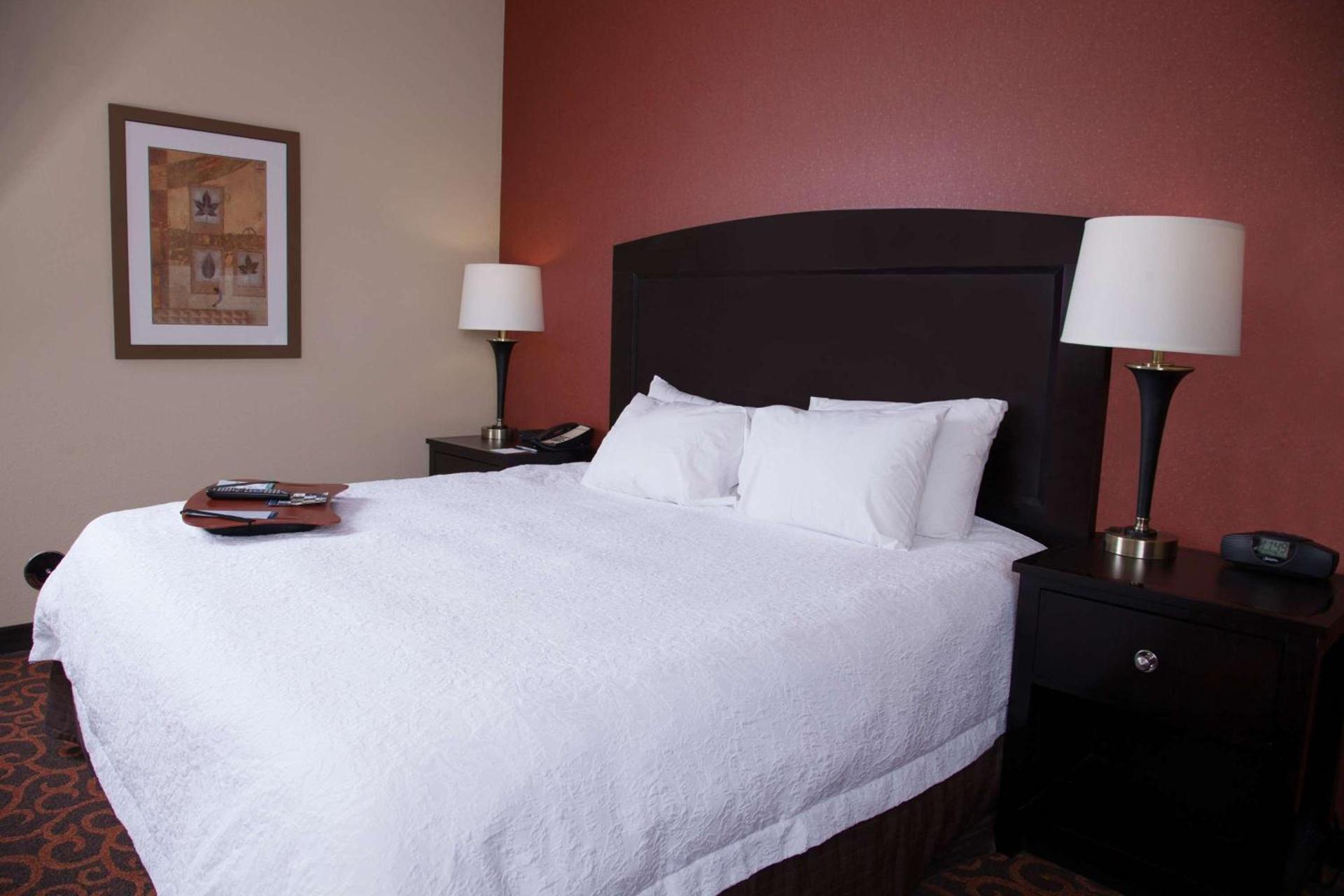 Hampton Inn & Suites Dickinson ND photo 38