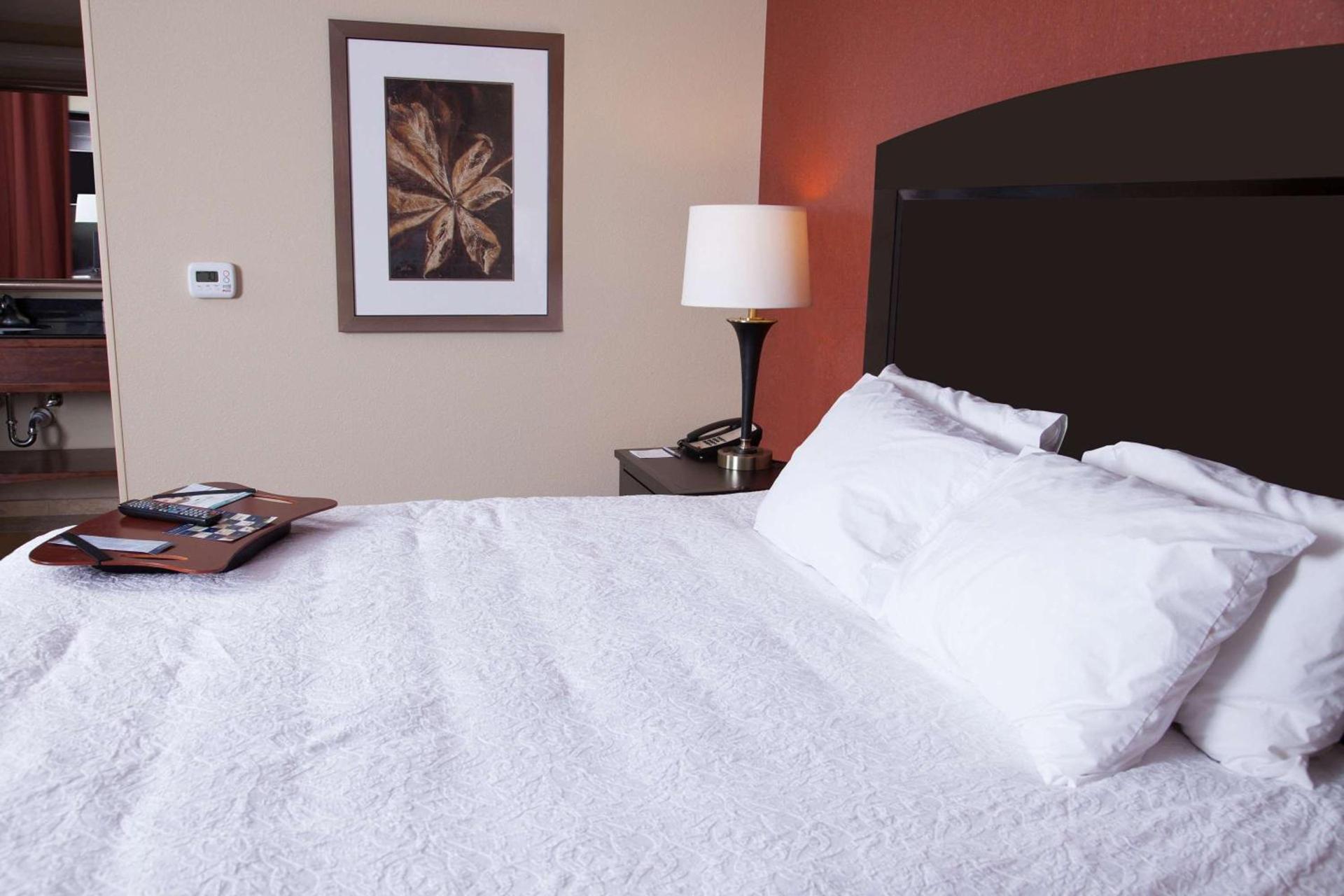 Hampton Inn & Suites Dickinson ND photo 39
