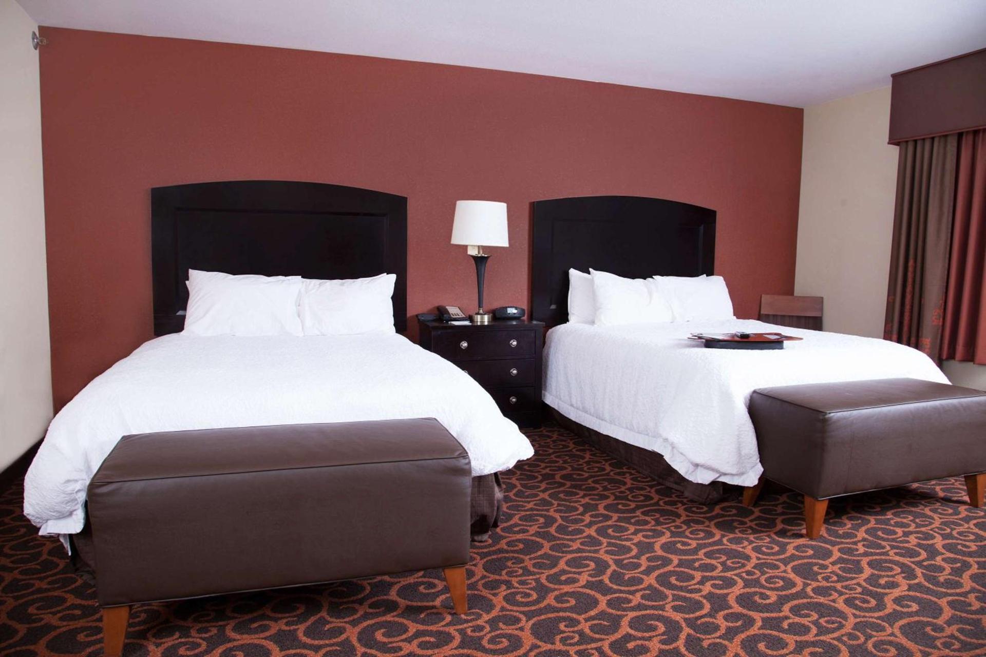 Hampton Inn & Suites Dickinson ND photo 41